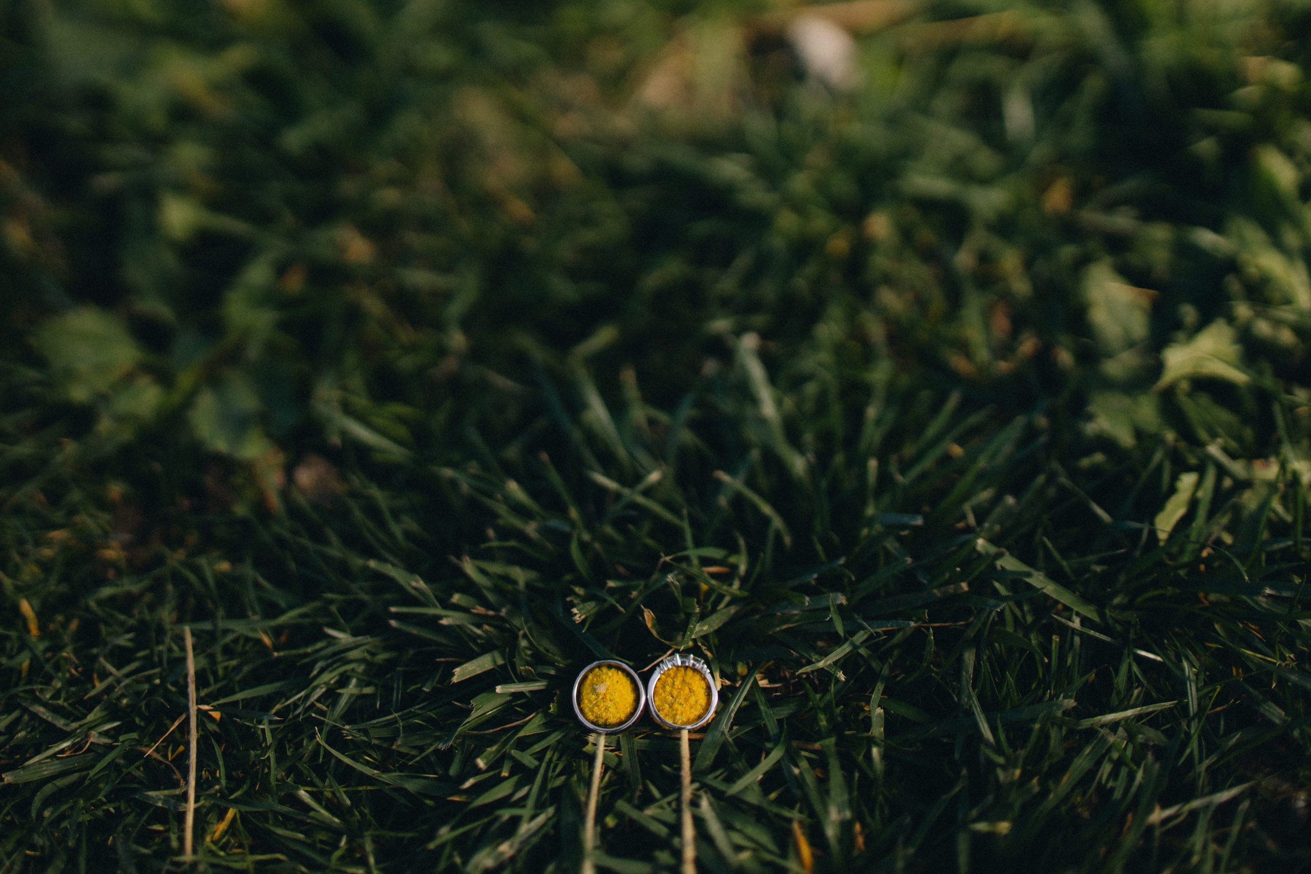 Jessie and Isaac on their wedding day in Portland, Oregon – a genuine moment of joy captured by photographer Georgy Shishkin in a romantic outdoor style, reflecting the charm of Portland & Seattle wedding photography.