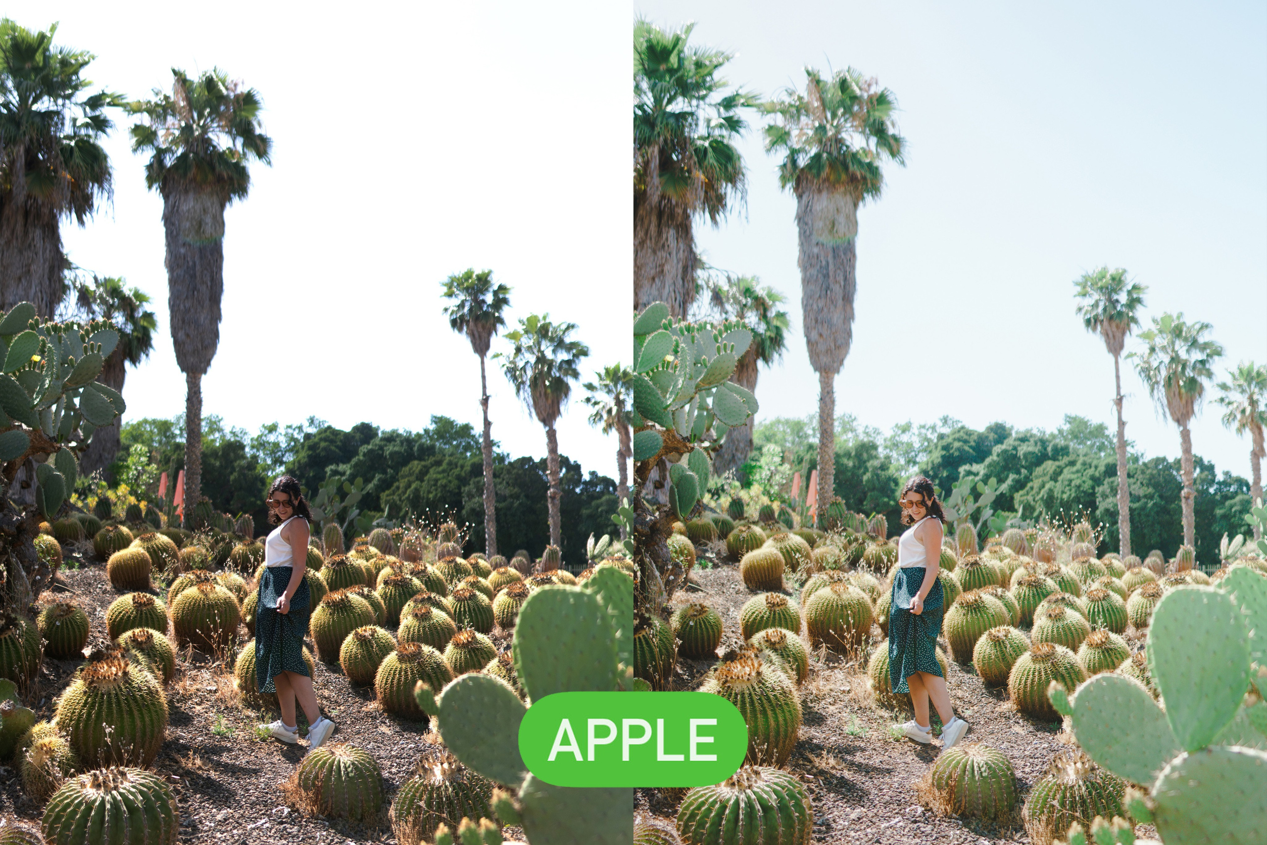 Presets. Photo and video shoots, photo tours in Portugal — WePortugal