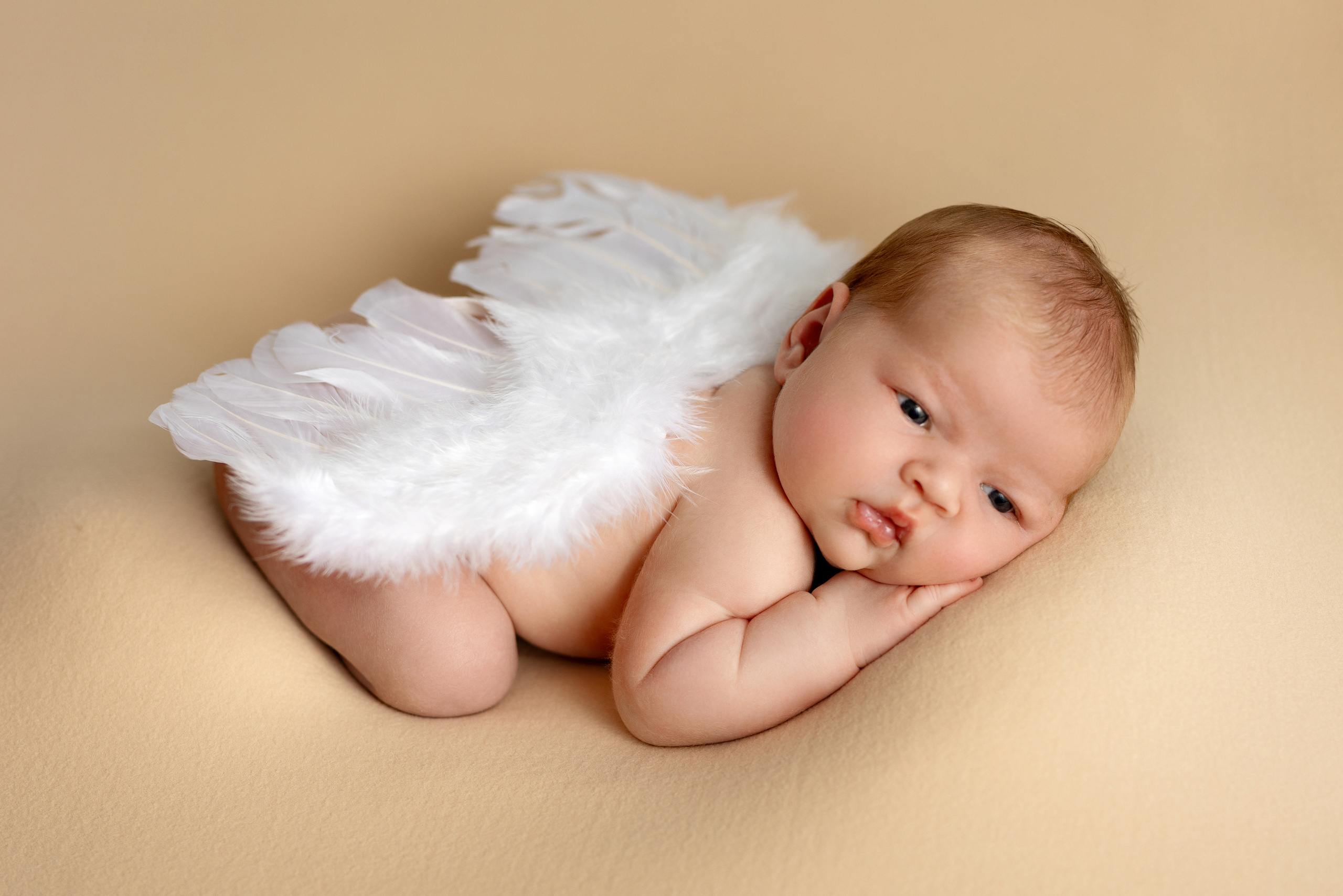 Babyfotograf hagen, Babyfotograf dortmund, babyfotograf lüdenscheid, babyfotograf schwerte, babyfotograf iserlohn, babyfotograf herdecke, babyfotograf ennepetal, babyfotograf mainerzhagen, babyfotograf gevelsberg, babyfotograf letmathe, babyfotograf hamm, Fotostudio Hagen, fotostudio iserlohn, fotostudio lüdenscheid, fotostudio iderlohn, fotostudio dortmund, fotostudio ennepetal, fotostudio hamm, fotostudio schwerte, Babyfotoshooting dortmund, Babyfotoshooting Hagen, babyfotoshooting hamm, babyfotoshooting lüdenscheid, babyfotoshooting iserlohn, babyfotoshooting schwerte, babyfotoshooting menden, babyfotoshooting hemer, babyfotograf hemer, babygalerie dortmund, babygalerie lüdenscheid, babyfotoshooting essen, babygalerie bethanien iserlohn, berglandklinik lüdenscheid babyfotos, babygalerie lüdenscheid, passbilder hagen