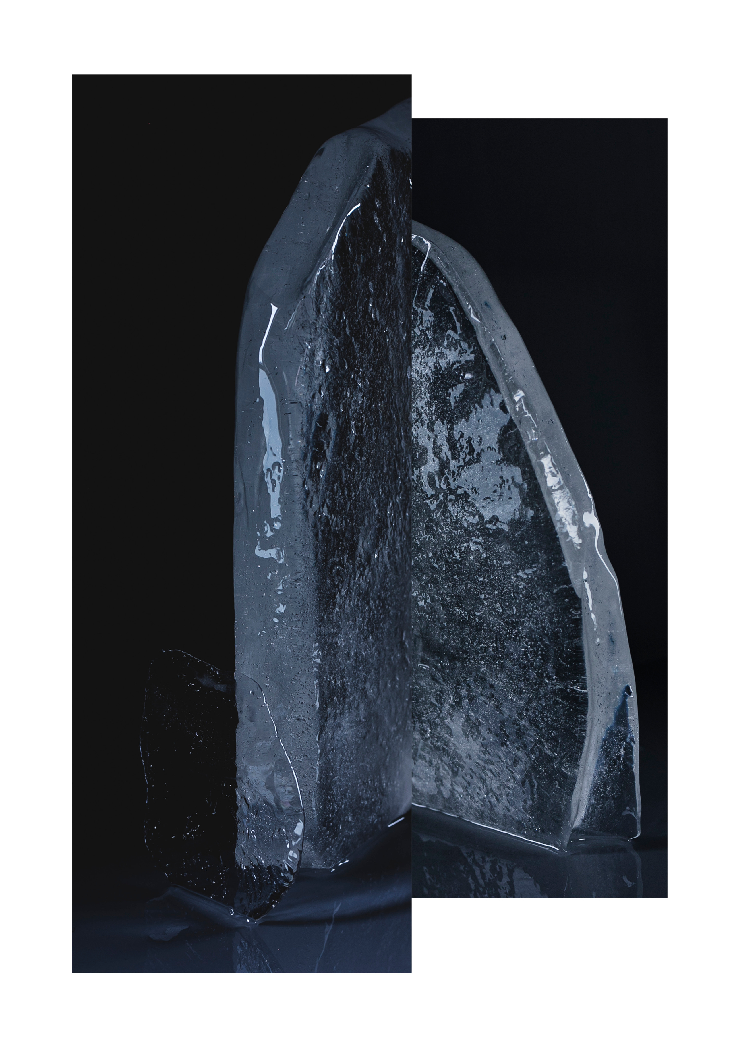 Rooted in Ice. Marina Tsaregorodtseva Fine Art photographer, London