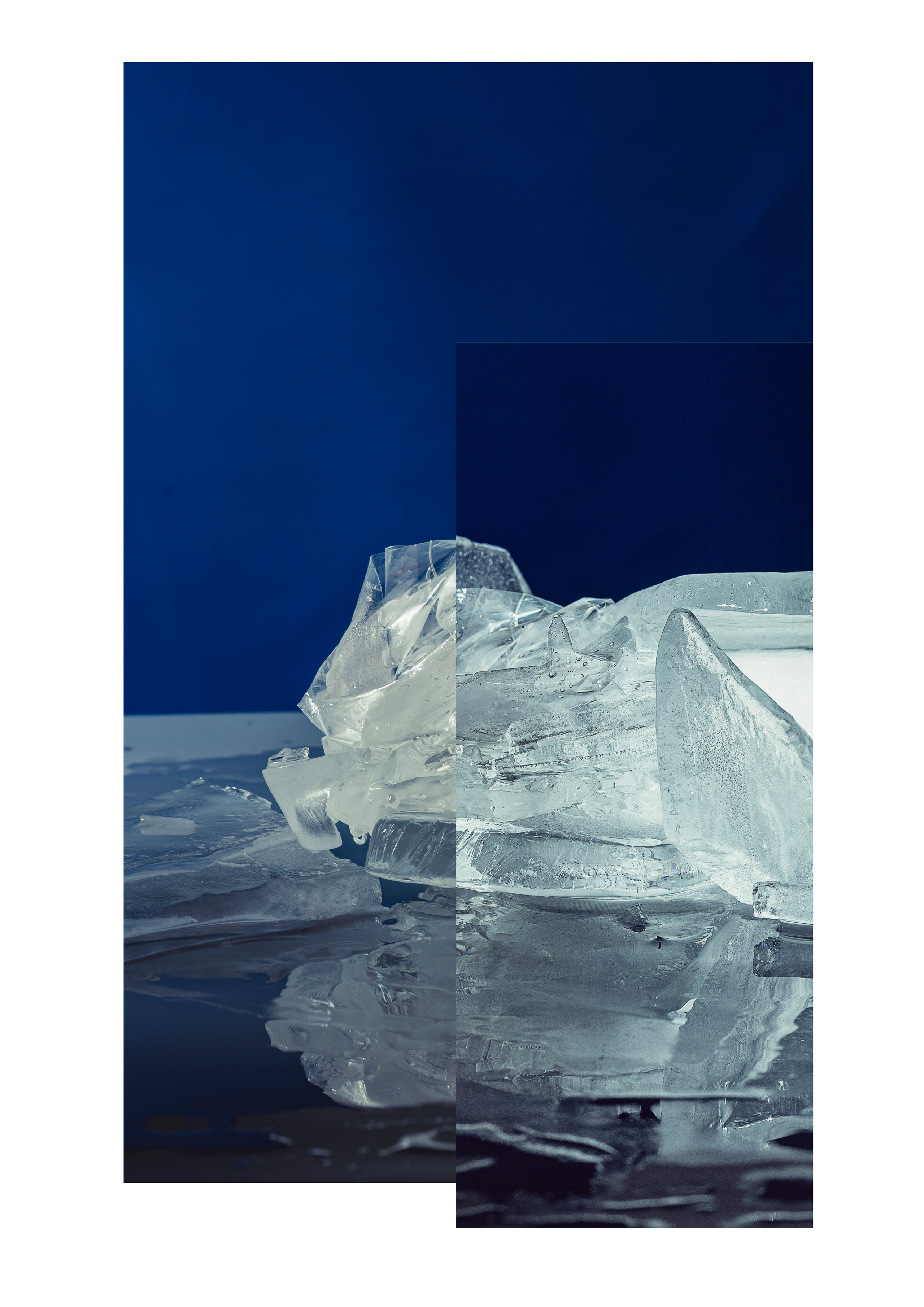 Rooted in Ice. Marina Tsaregorodtseva Fine Art photographer, London