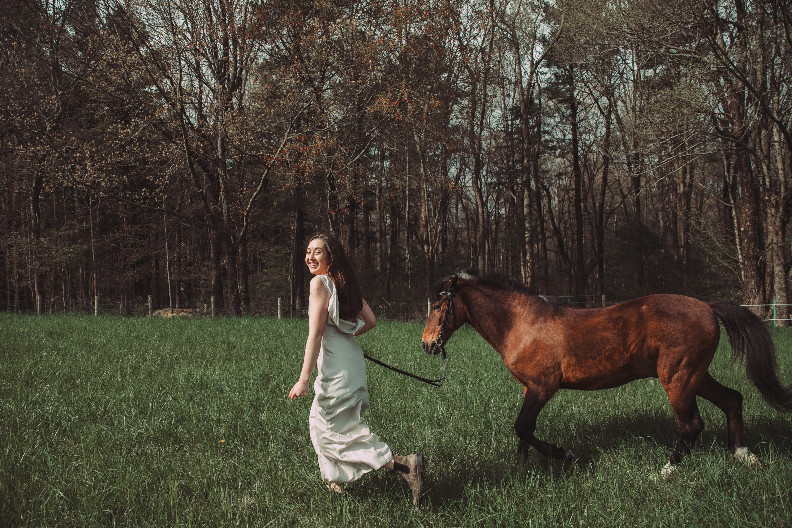 Minis With Horses (Massachusetts)