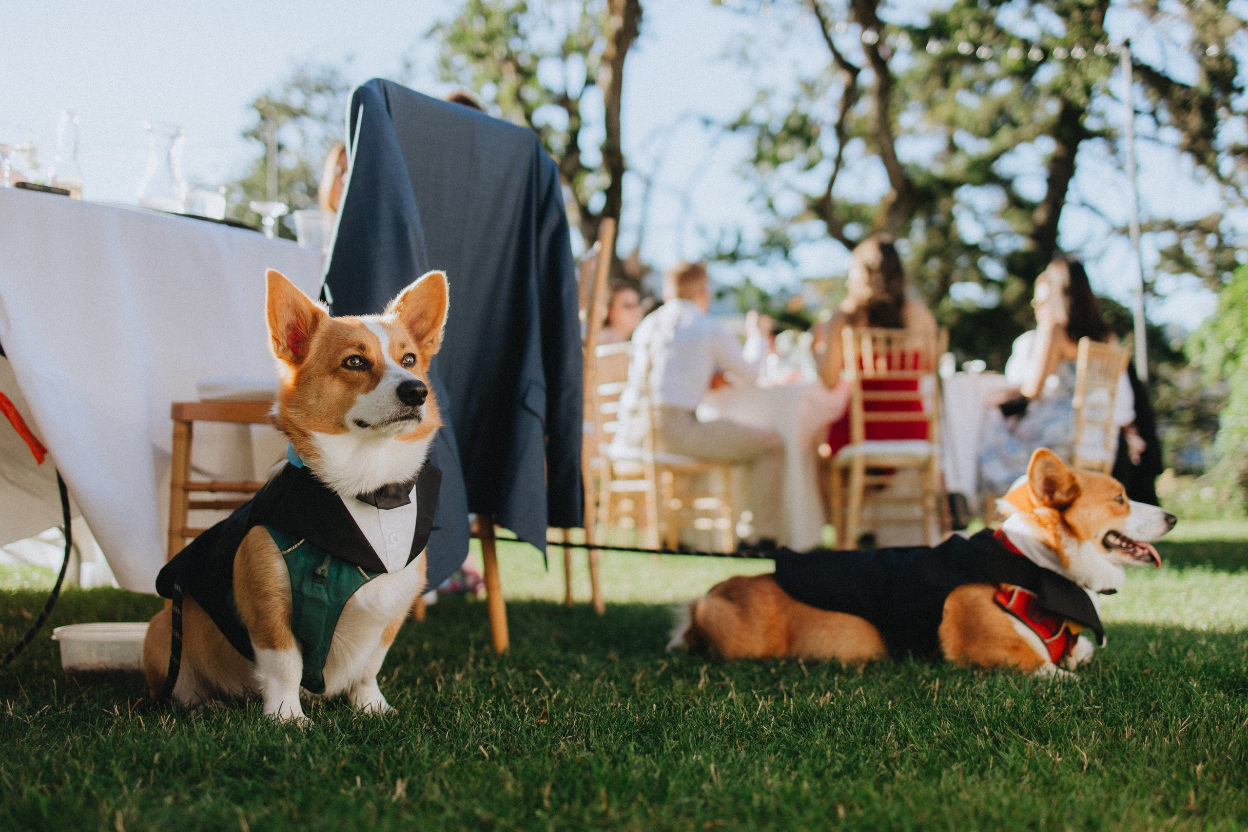 Brook & Richard's Wedding in Portland Oregon| Captured by Georgy Shishkin, Professional Wedding Photographer Seattle, Bend & Oregon Coast. Capturing Love in the Heart of the Pacific Northwes