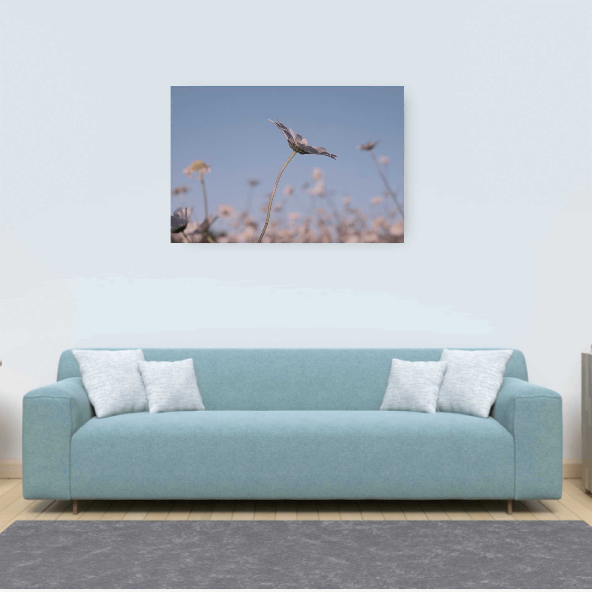 DAISIES. Natalja Poplavska — Visual artist, Photographer, East Sussex, London