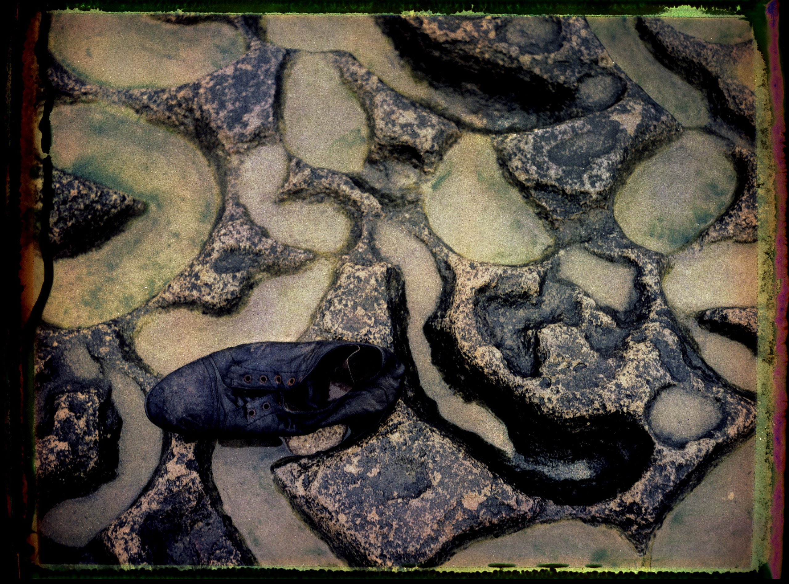 POLAROID. Www.sananaleskerov.com