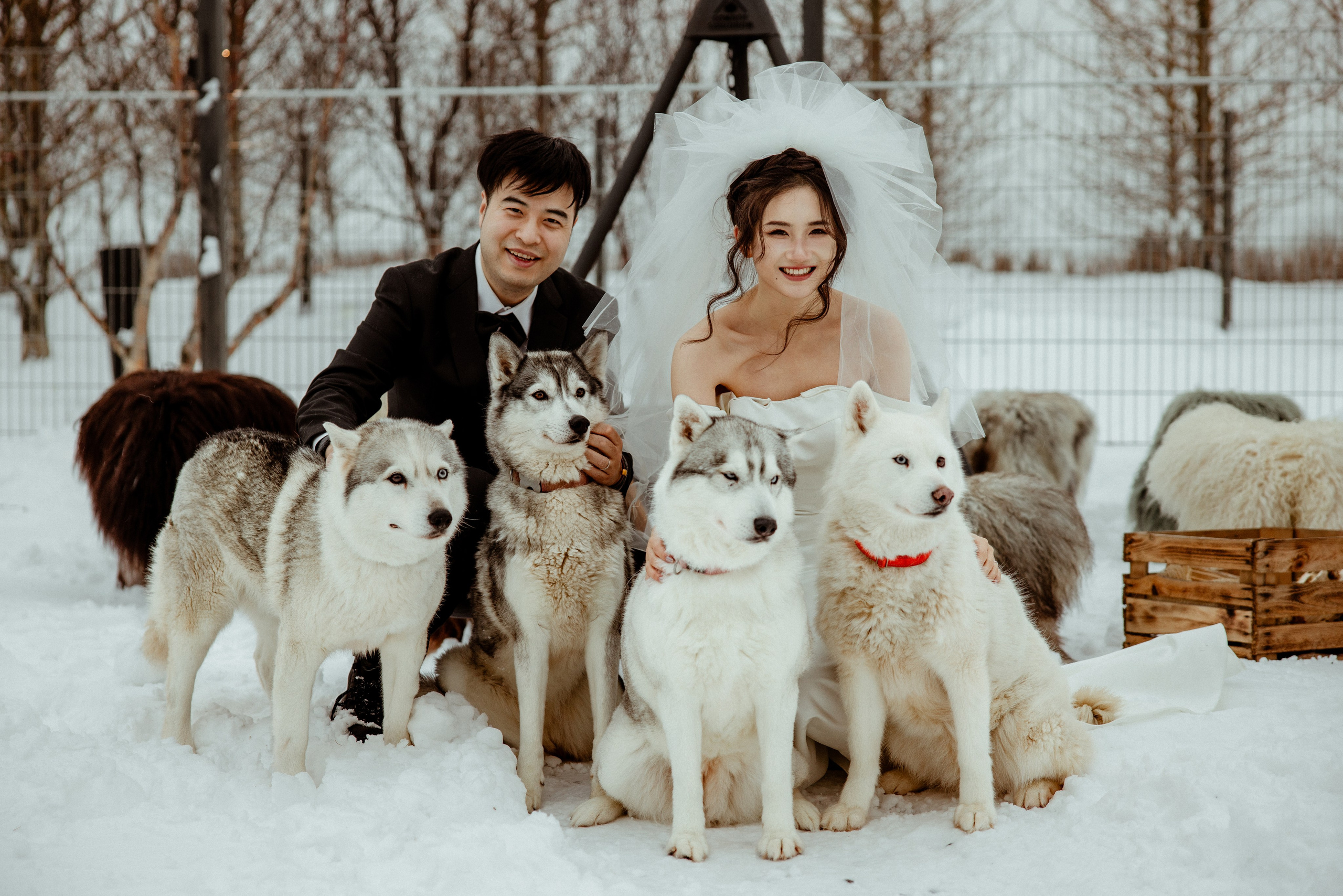 Zhou+Nan | 2 days elopement in Iceland. Iceland elopement photographer & videographer