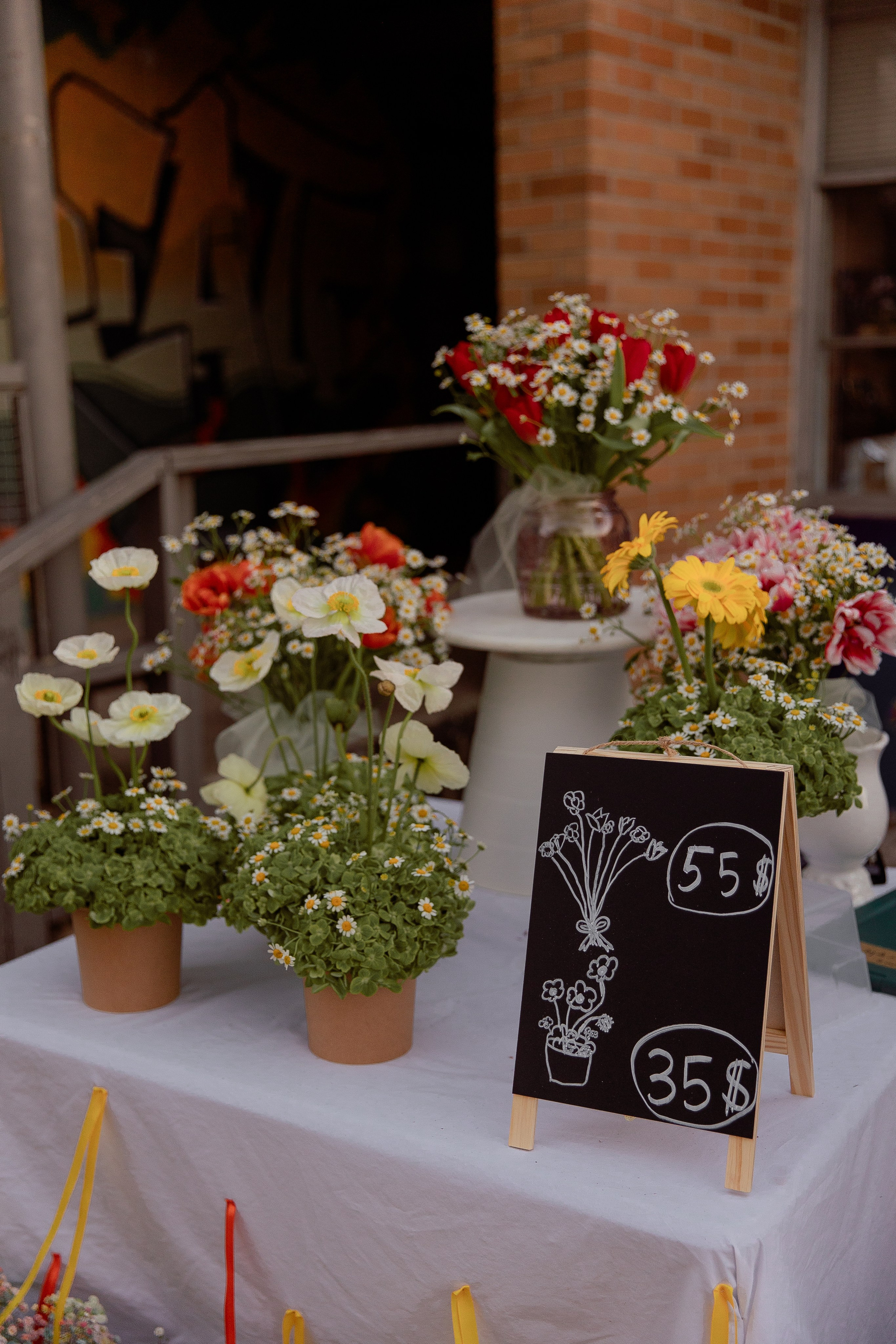 MASLENITSA 2025. Professional Photography in Austin, TX — Family, Newborn, Maternity