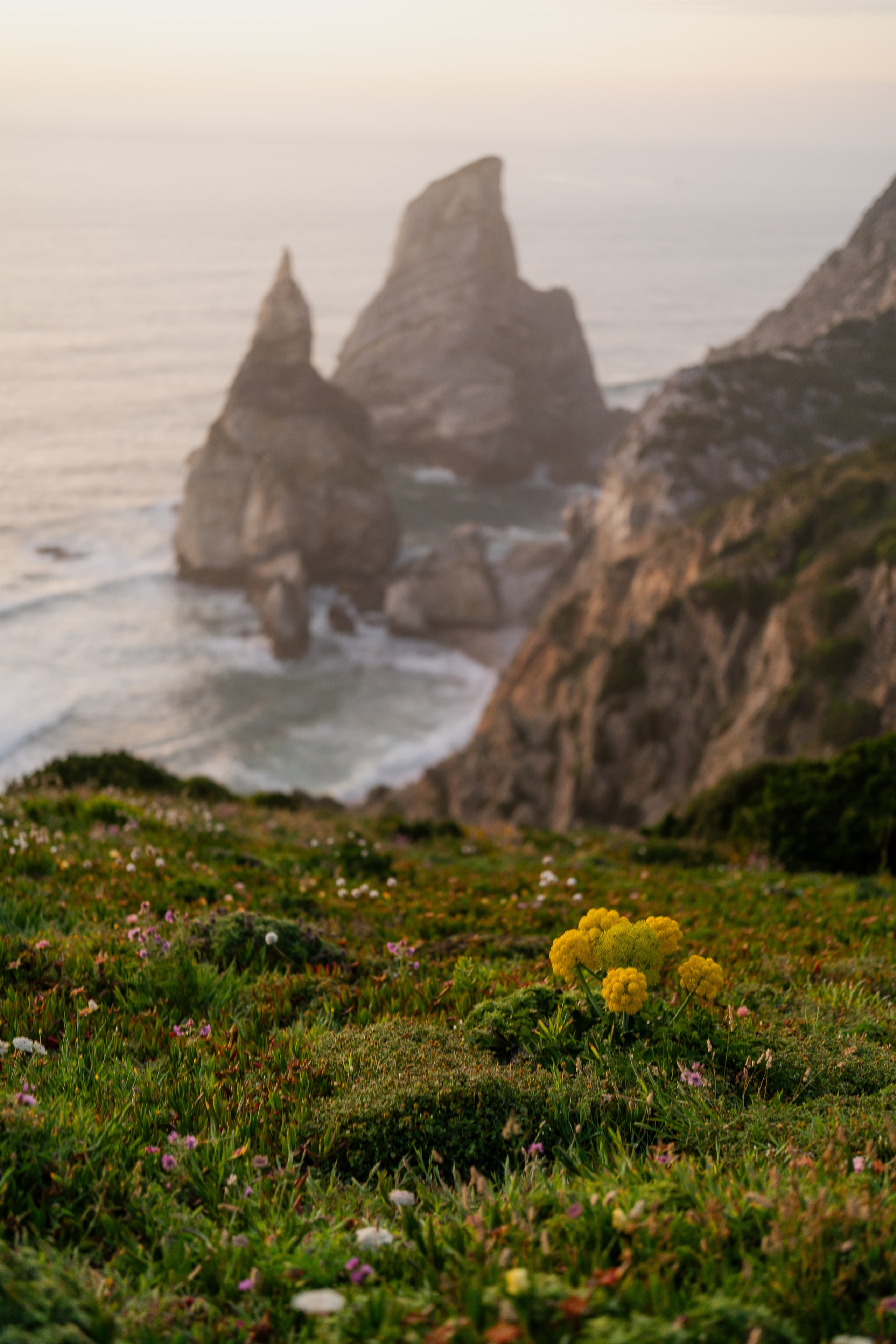 Mariana e Filipe — Praia da Ursa, Portugal wedding