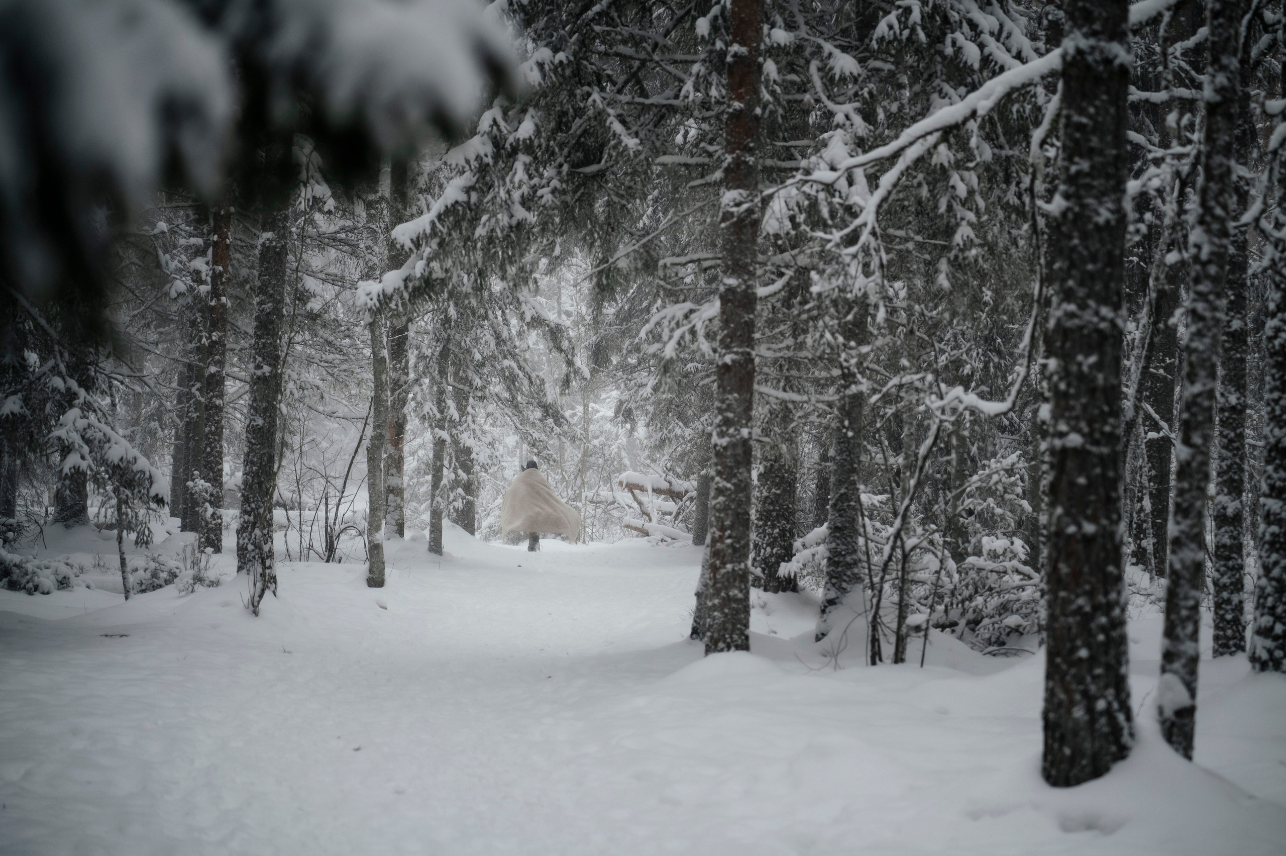 Семья/пара. Фотограф Таллинн — свадьба |семья | lovestory