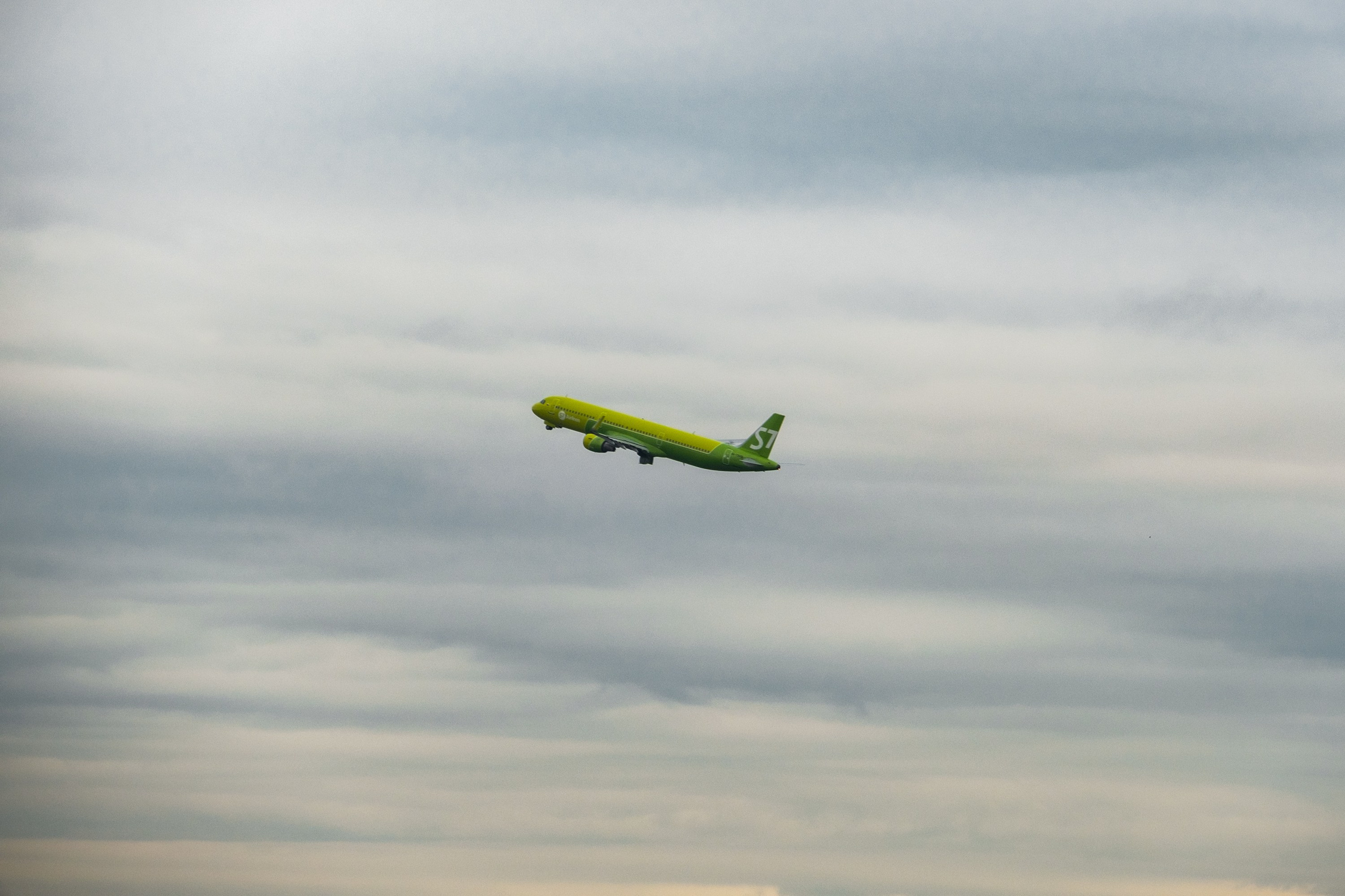 Обзор на объектив 16-300мм Sigma. Личные впечатления и опыт использования. Фотограф Григорий Кравец