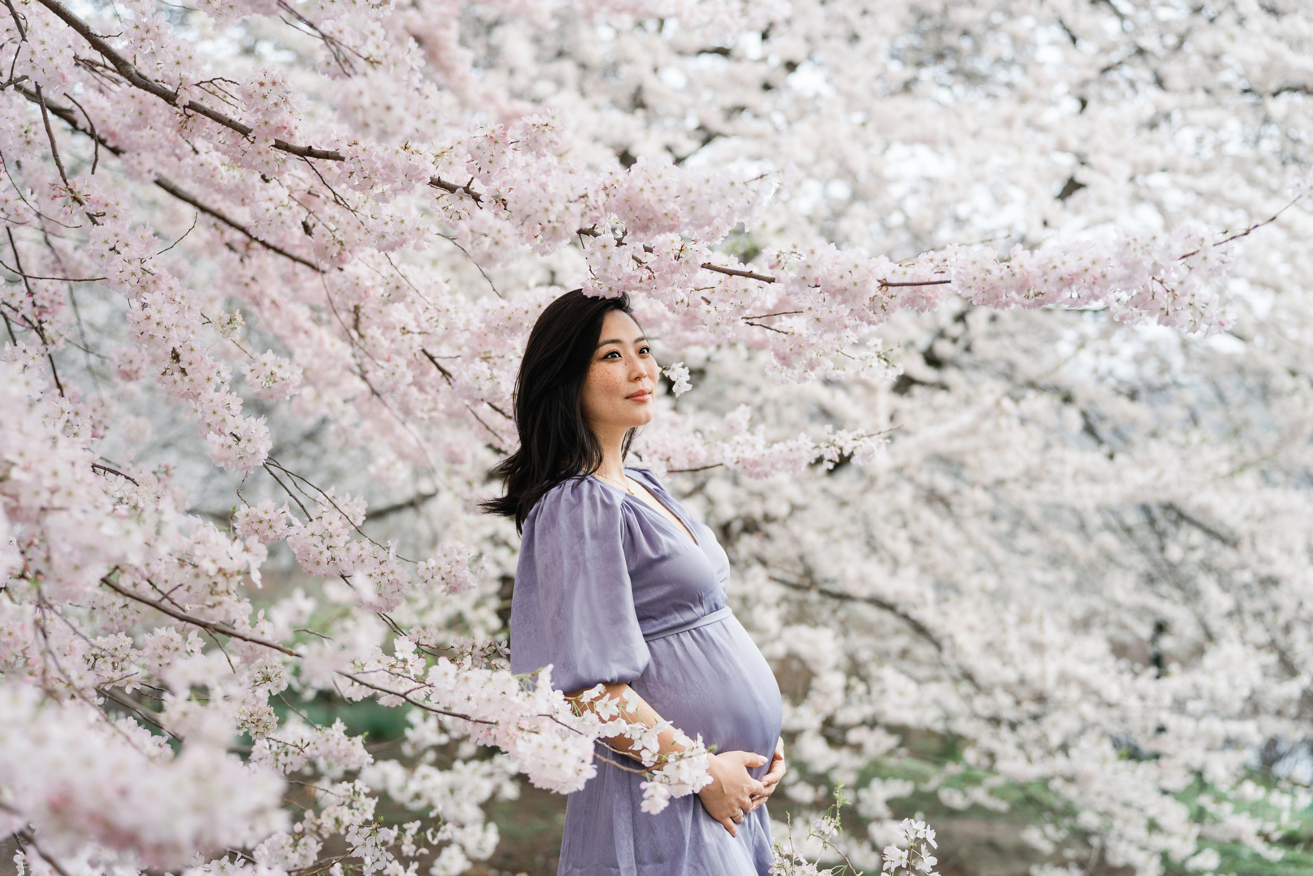 Sakura Photoshoot in New York. Photographer in New York Faery By Mary
