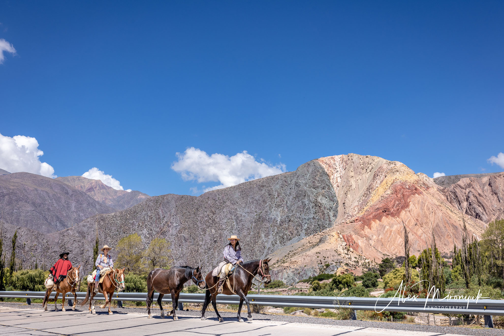 Northern Argentinian Adventure. Pet, Senior, Landscape, portrait studio, photographer in Miami and Sou