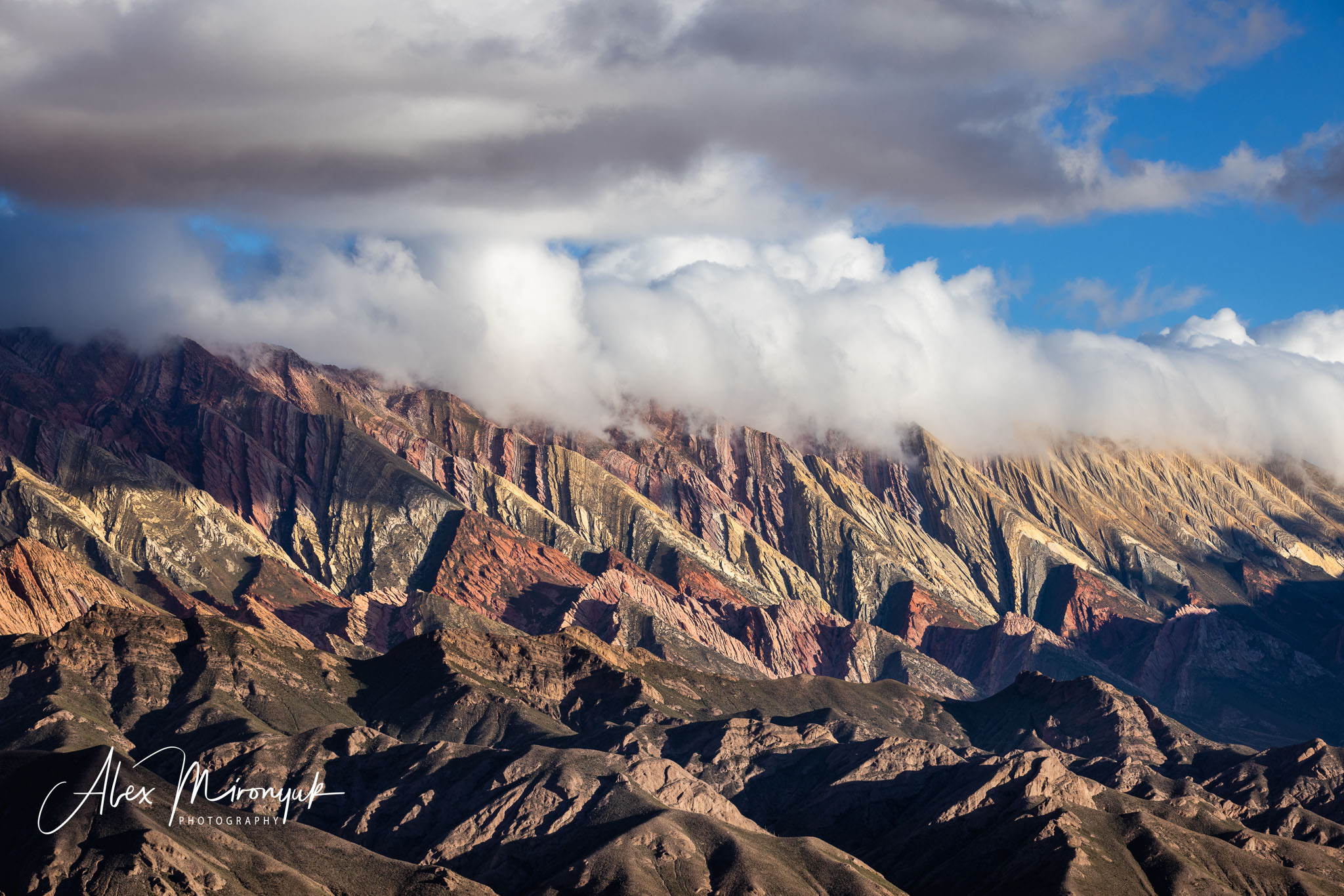 Northern Argentinian Adventure. Pet, Senior, Landscape, portrait studio, photographer in Miami and Sou