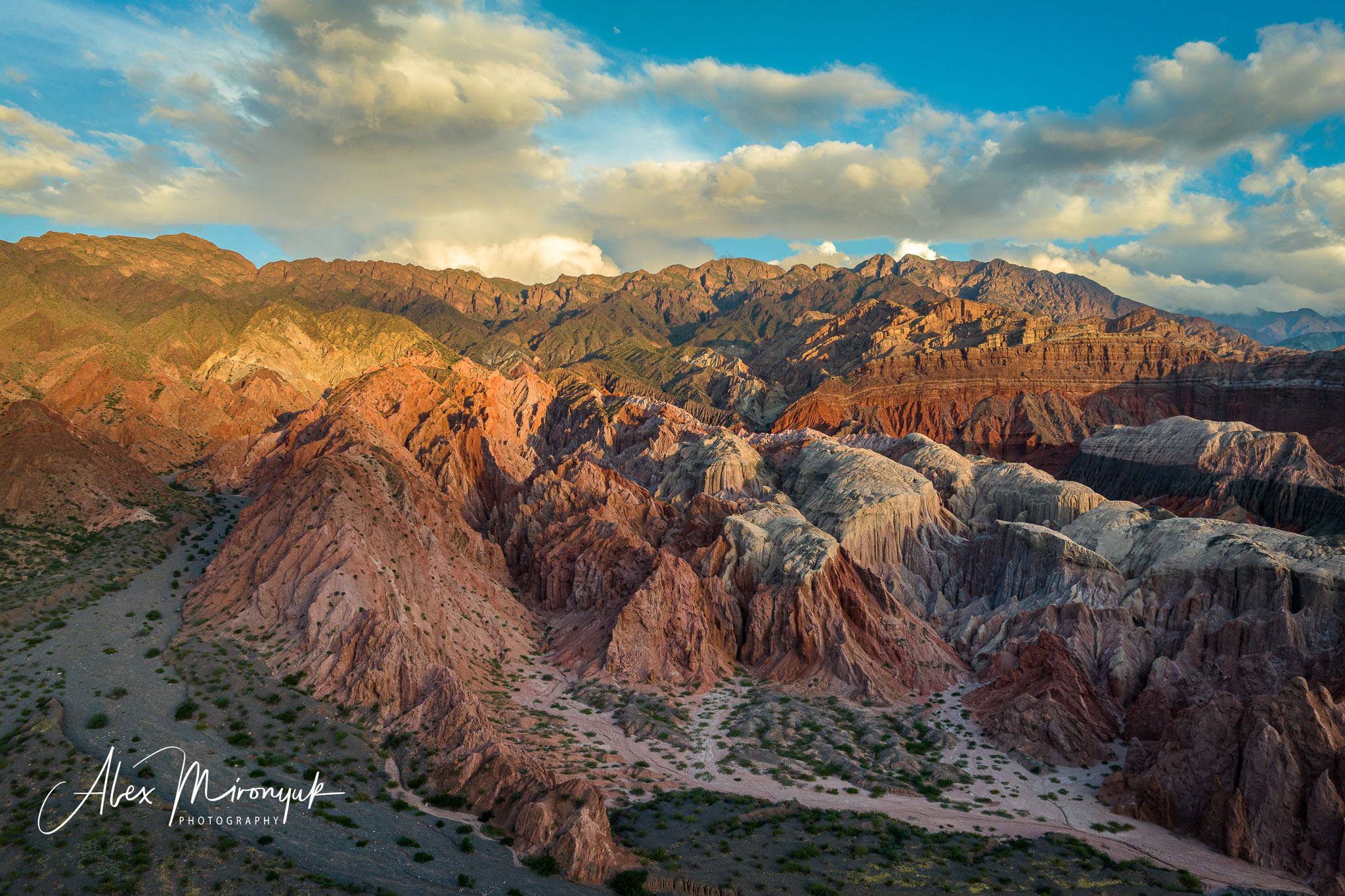 Northern Argentinian Adventure. Pet, Senior, Landscape, portrait studio, photographer in Miami and Sou