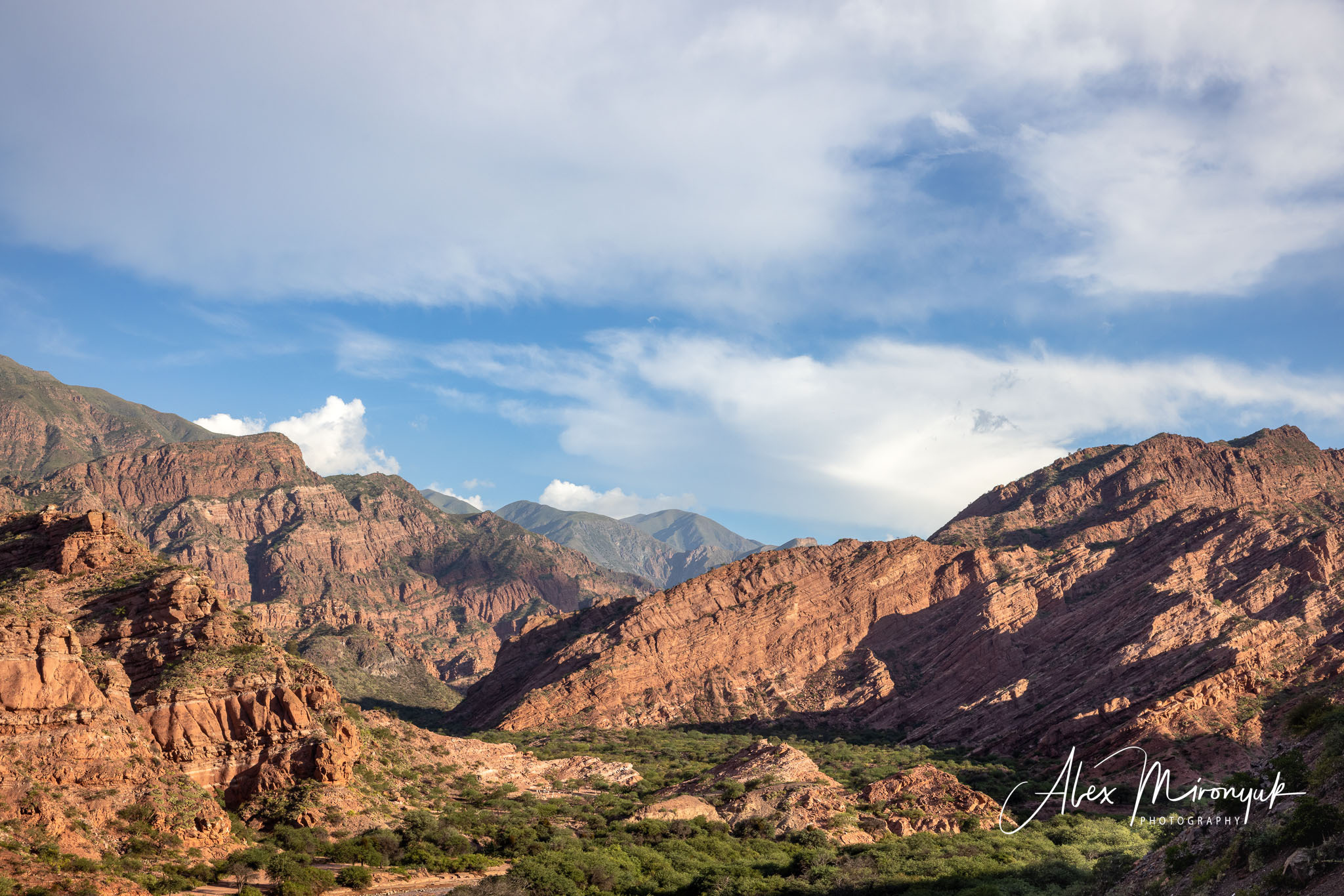 Northern Argentinian Adventure. Pet, Senior, Landscape, portrait studio, photographer in Miami and Sou