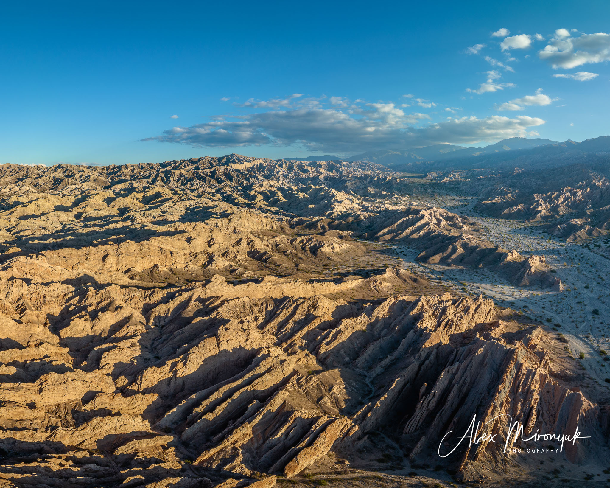 Northern Argentinian Adventure. Pet, Senior, Landscape, portrait studio, photographer in Miami and Sou