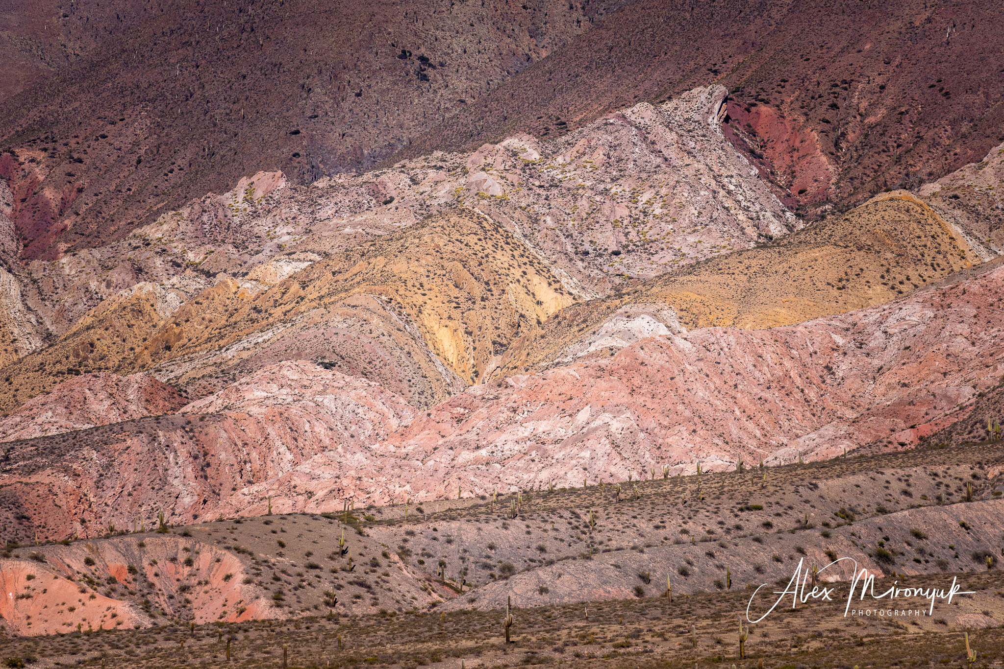 Northern Argentinian Adventure. Pet, Senior, Landscape, portrait studio, photographer in Miami and Sou