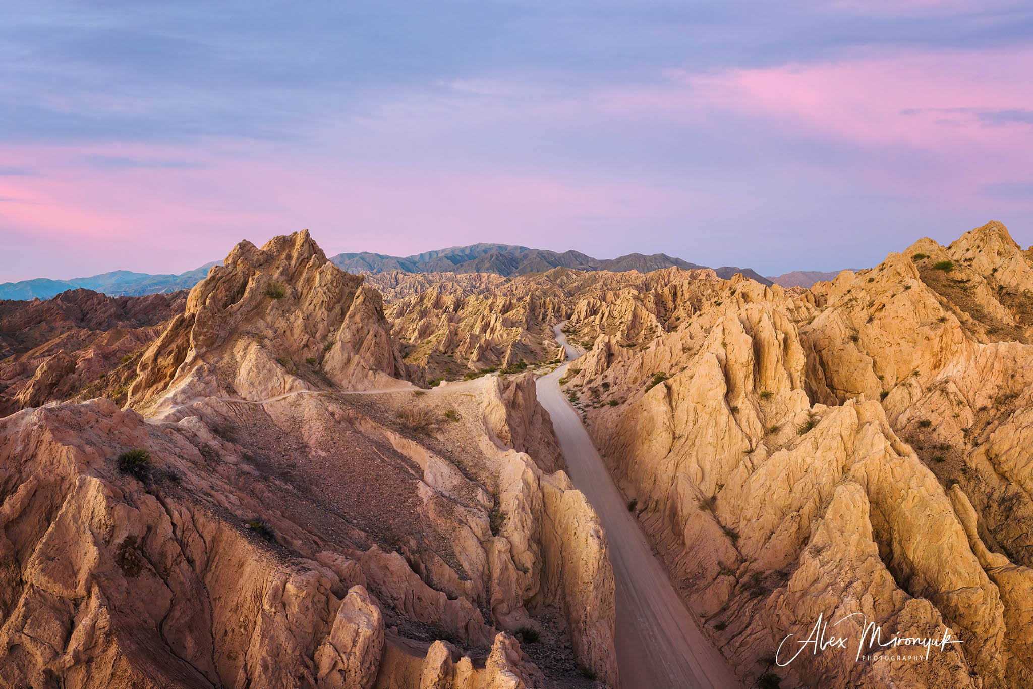 Northern Argentinian Adventure. Pet, Senior, Landscape, portrait studio, photographer in Miami and Sou
