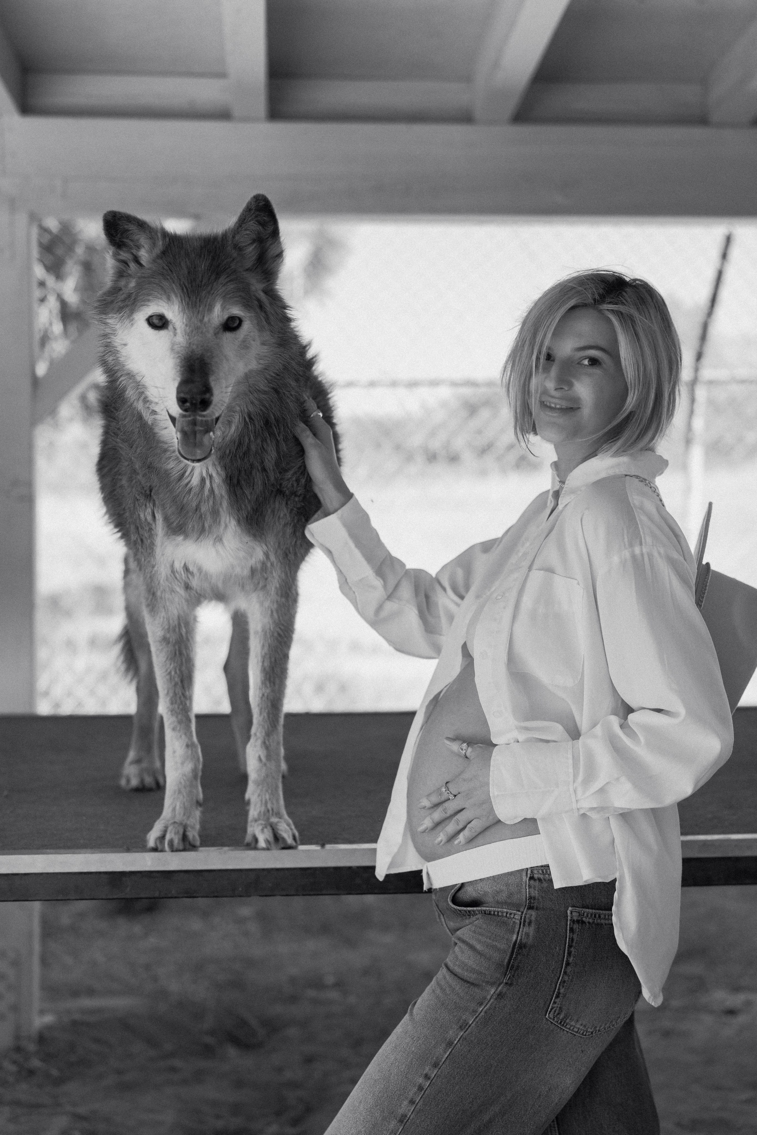 Wild Grace. Pregnancy shoot with Wolf. Portrait, family, maternity & wedding photography & videography in SoCal Kseni Vibe