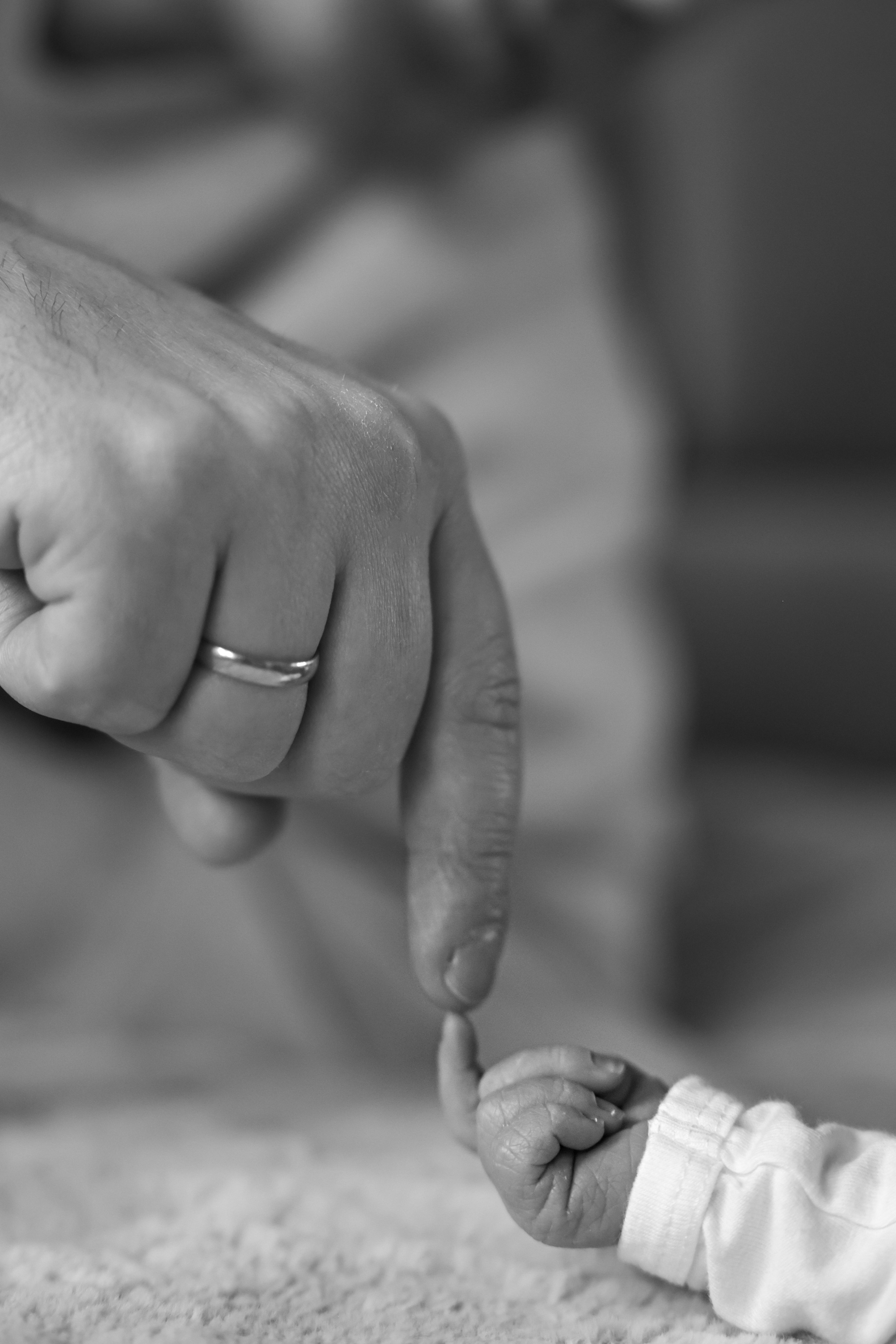 Portrait and Family Photographer in Netherlands