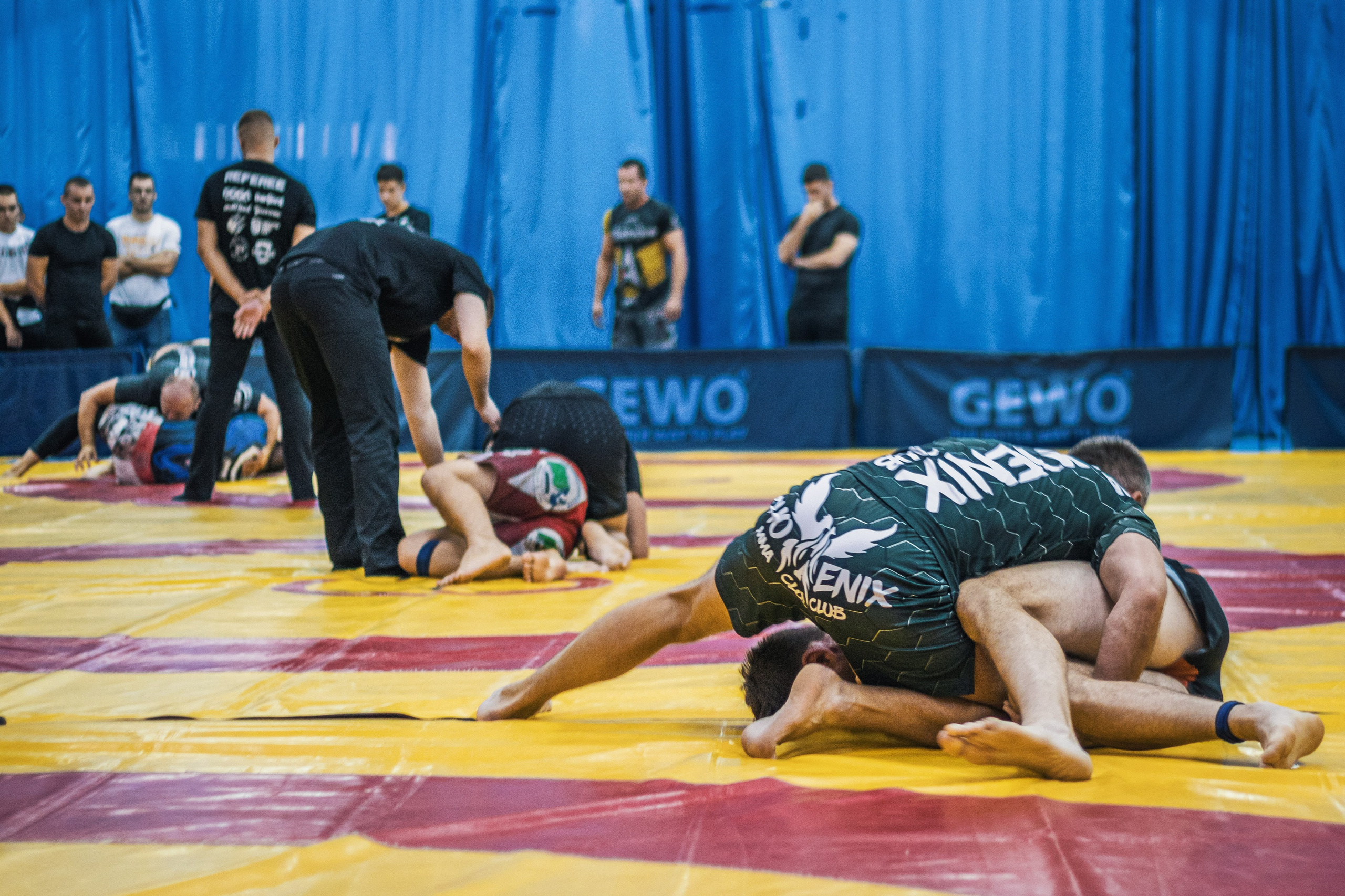 NO GI Challenge Novi Sad