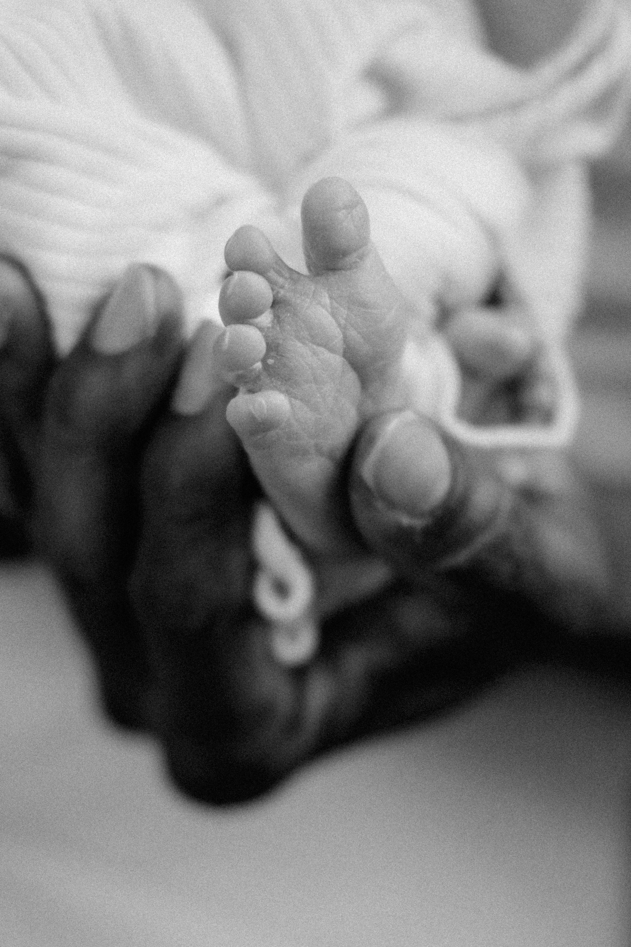 Newborn Photography Portfolio | Documentary Newborn sessions by Anna Dobrovolskaia in Richmond, VA Photography. Family Photographer Anna Dobrovolskaia | Richmond, VA