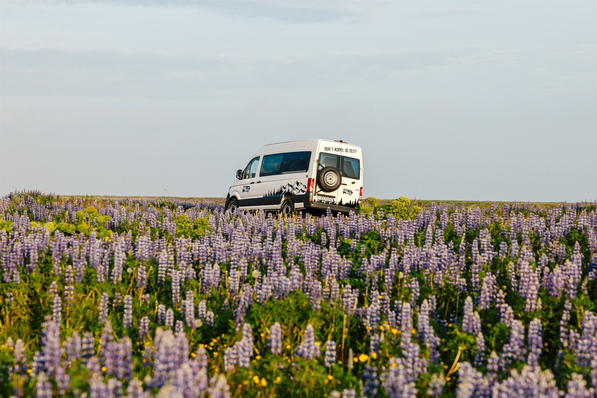 All Colors Of Iceland. Pet, Senior, Landscape, portrait studio, photographer in Miami and Sou