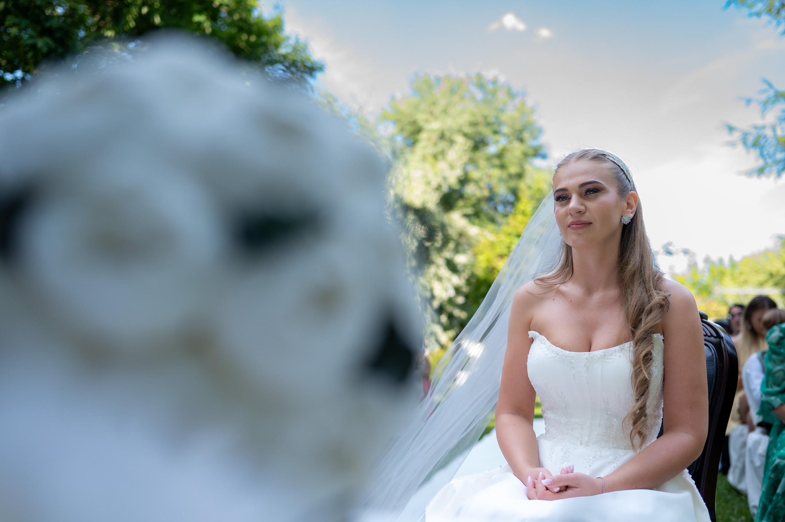 Daniel Rotaru Photography