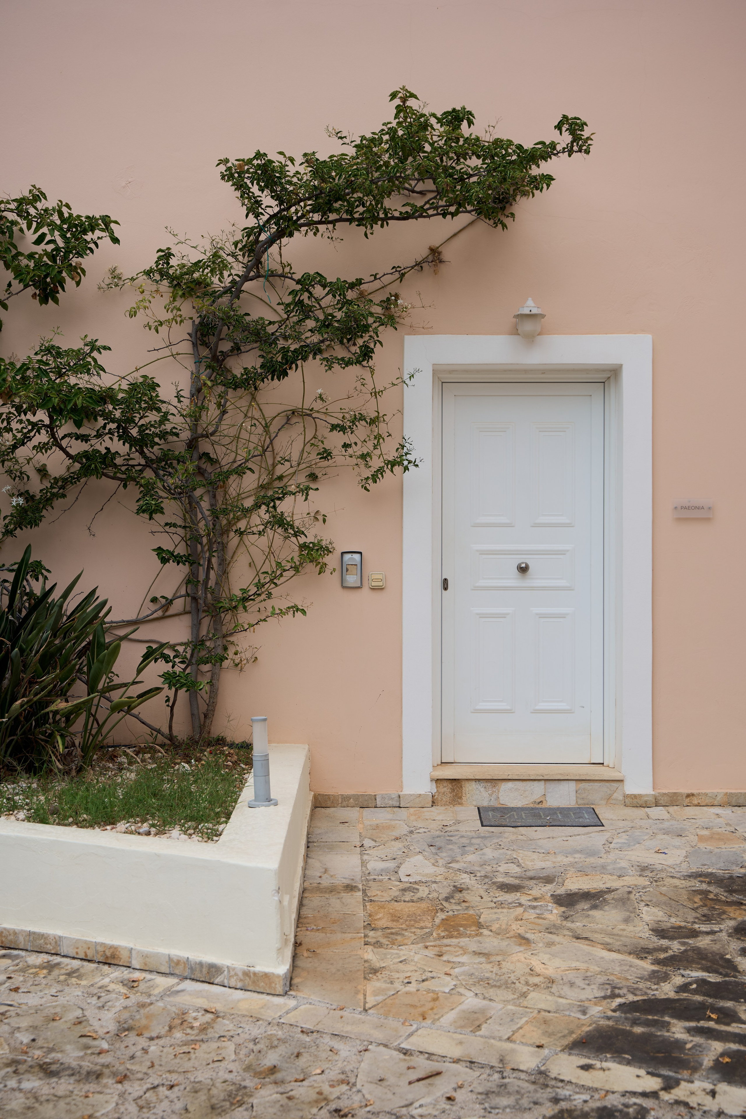 Моими глазами. Привет, давай знакомиться