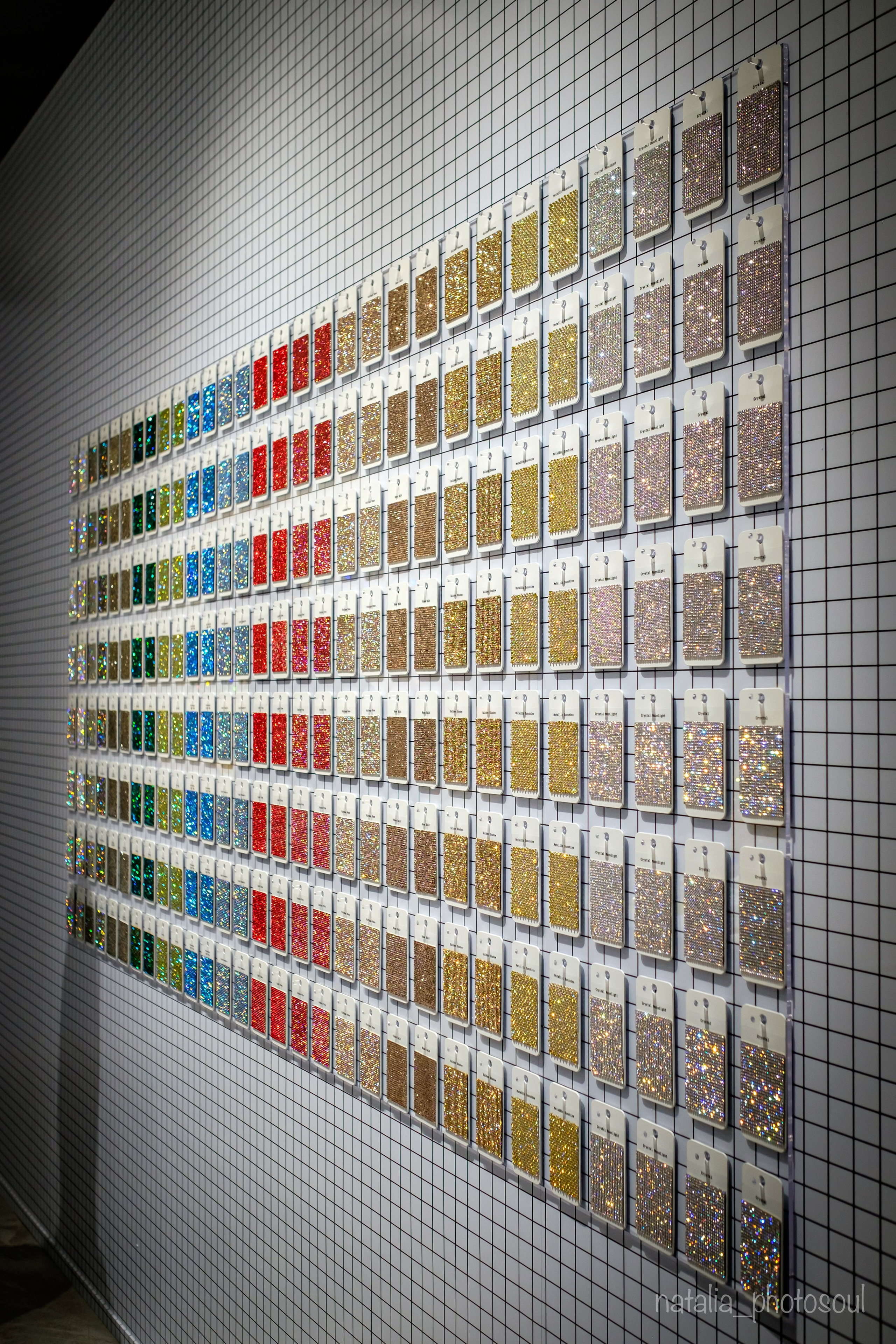 SWAROVSKI MASTERS OF LIGHT FROM VIENNA TO SEOUL. Photographer in Seoul Dobrokvashina Natalya