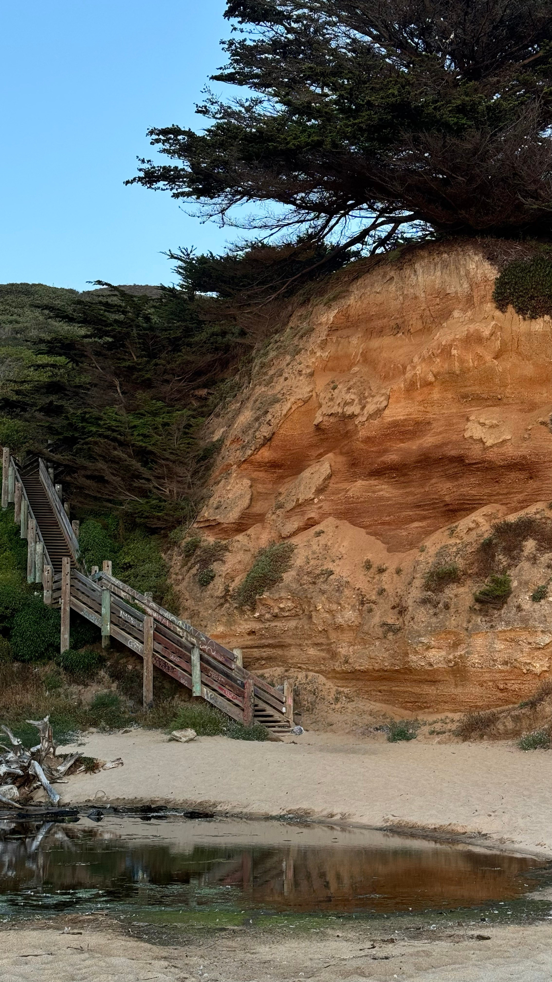 Bay Area Beach Guide for Photoshoots | Best Beaches for Maternity, Couples & Family. Maternity, newborn photographer in the Bay Area|Iryna Rakivnenko