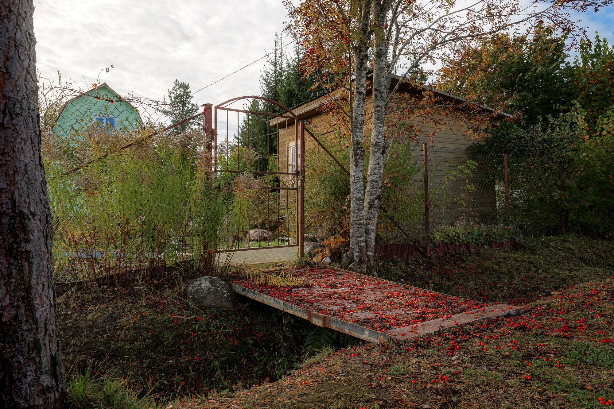 Petr Ya. Photopolygon Mag