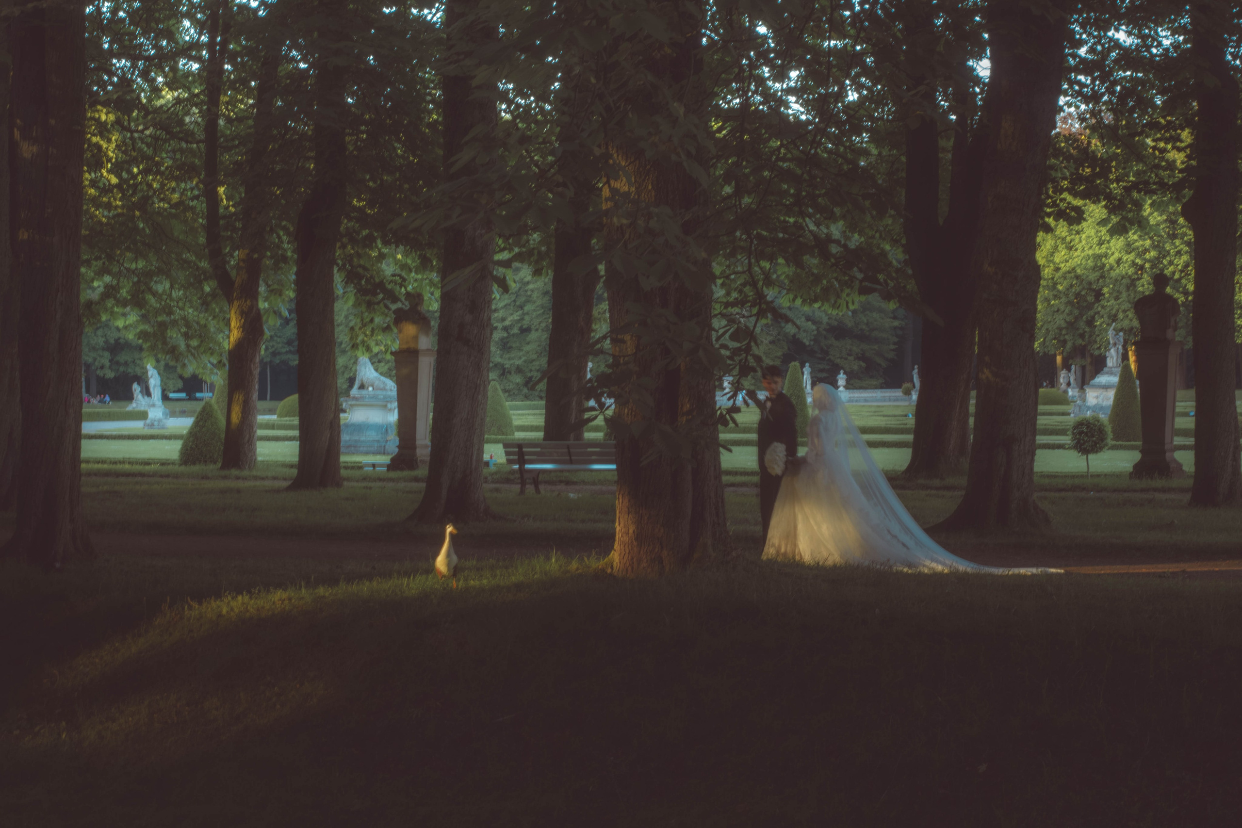 Victoria Sophie Photography