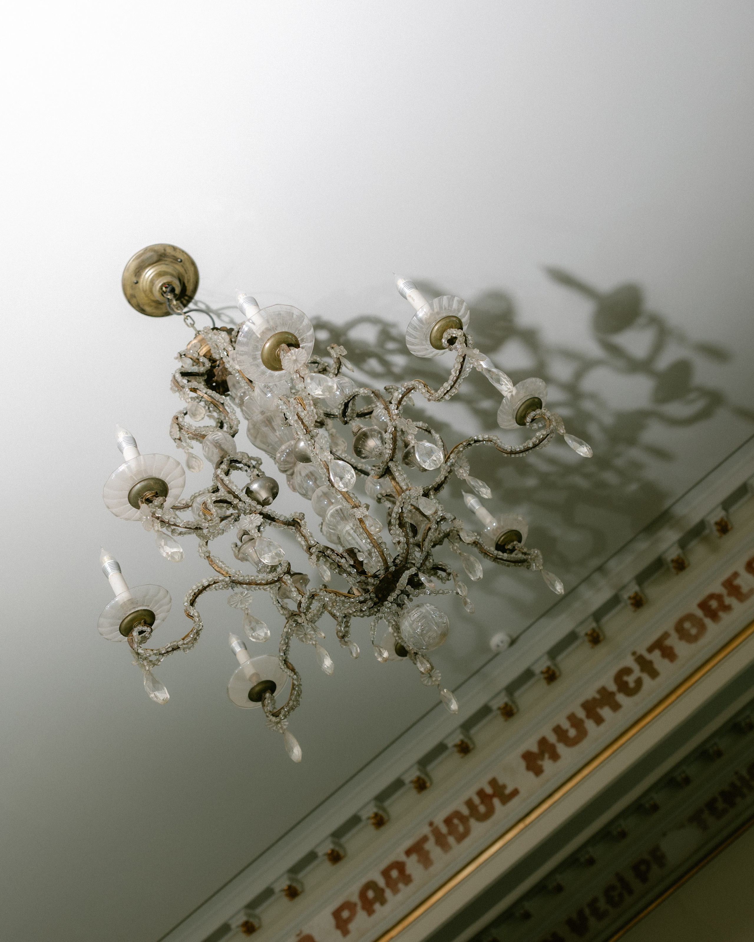 Domeniul Manasia Wedding Photographer | The Mireas