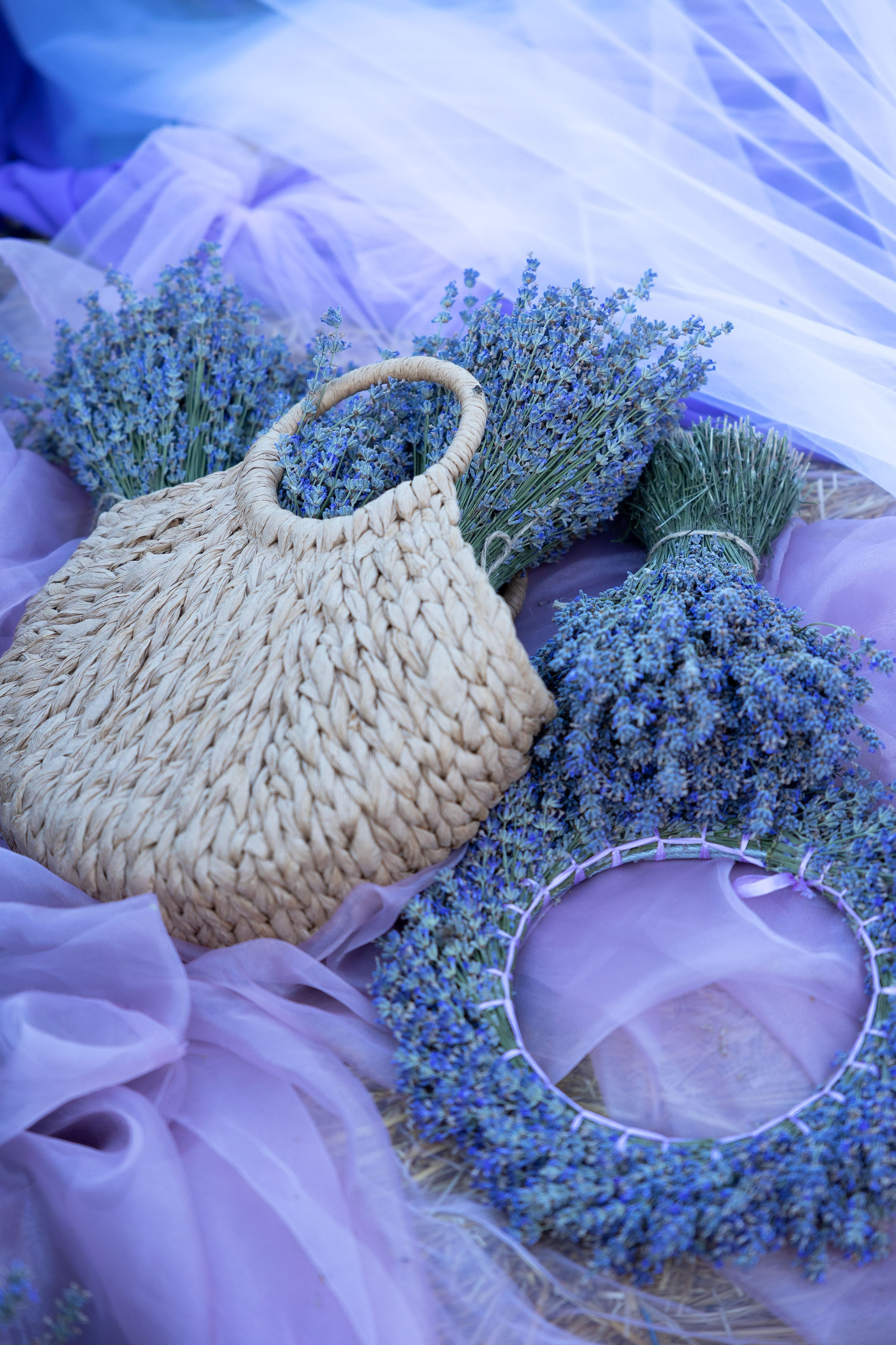 Portrait and Family Photographer in Netherlands