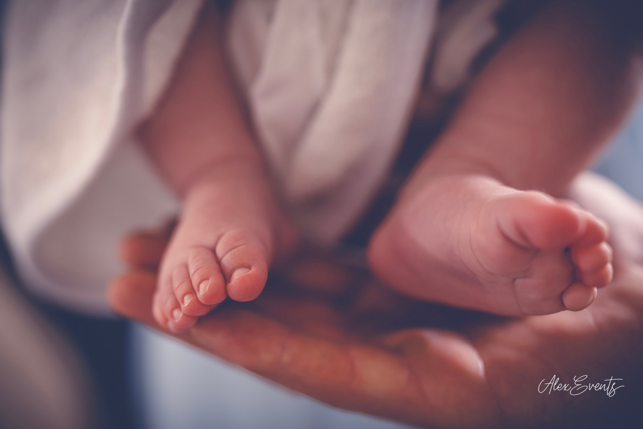 AlexEvents Fotograf / Videograf de evenimente Danemarca DK Horsens, Arhus, Odense, Vejle.Nunta, botez, foto-studio