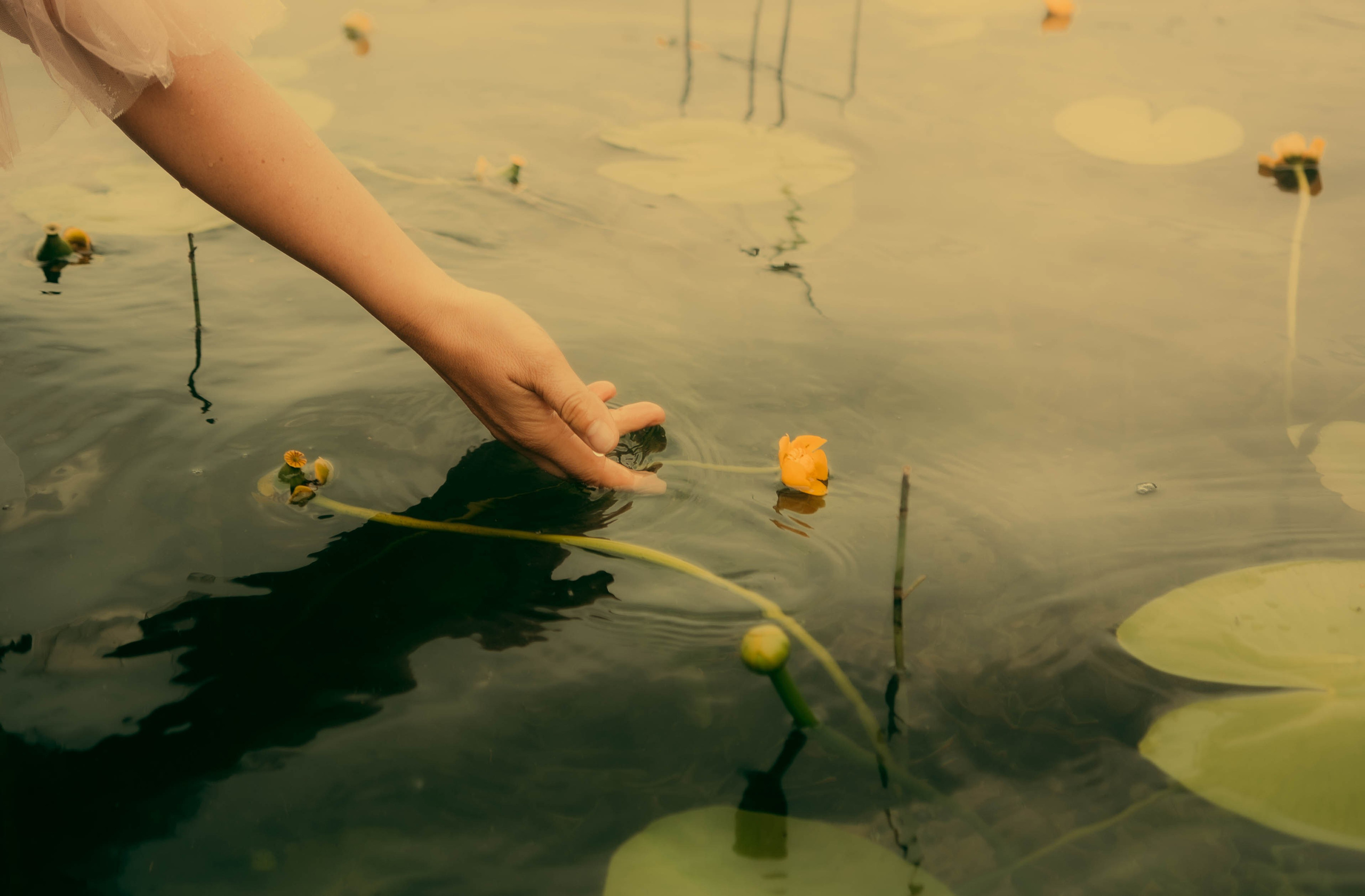 Fotografija — Olga Bojarin
