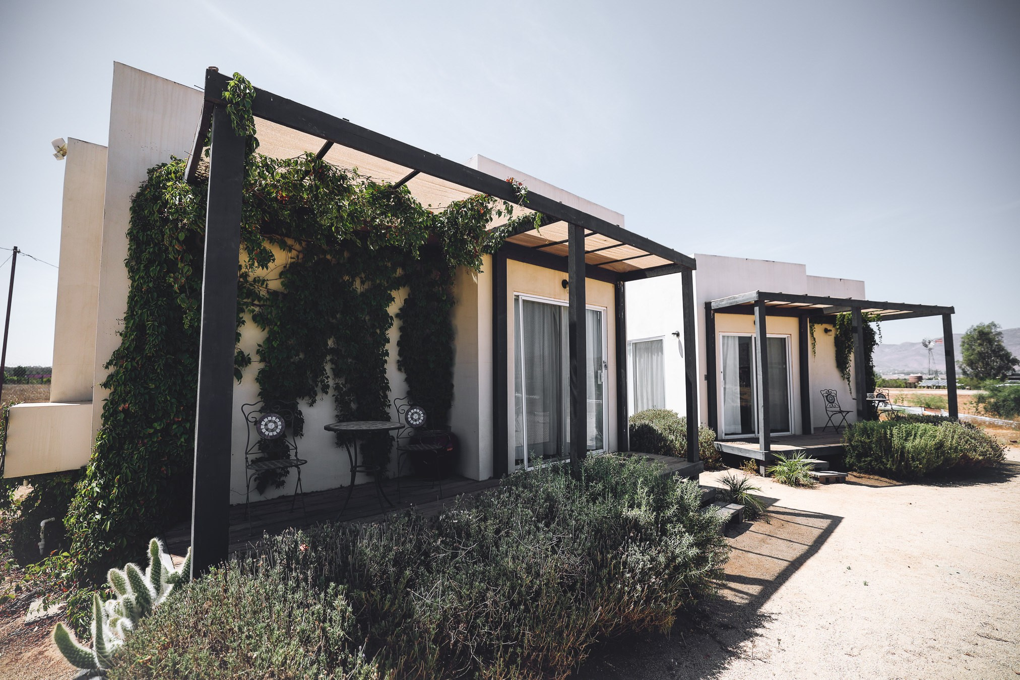 LA Cetto Valle de Guadalupe Boda Araceli e Israel. Estudio de fotografia en Tijuana