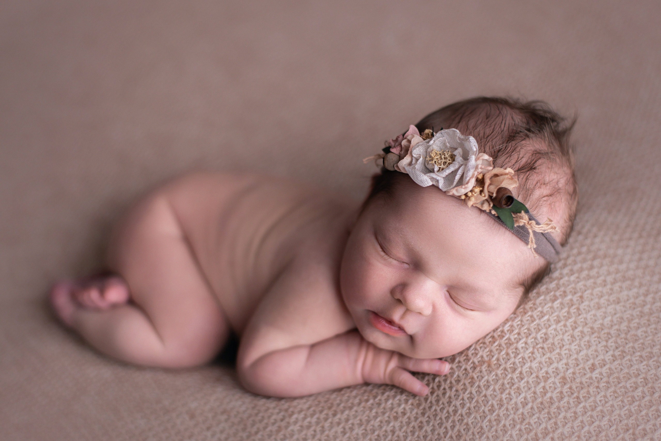 Newborn gallery. In-home newborn photography Raleigh & area Katya Kulikova