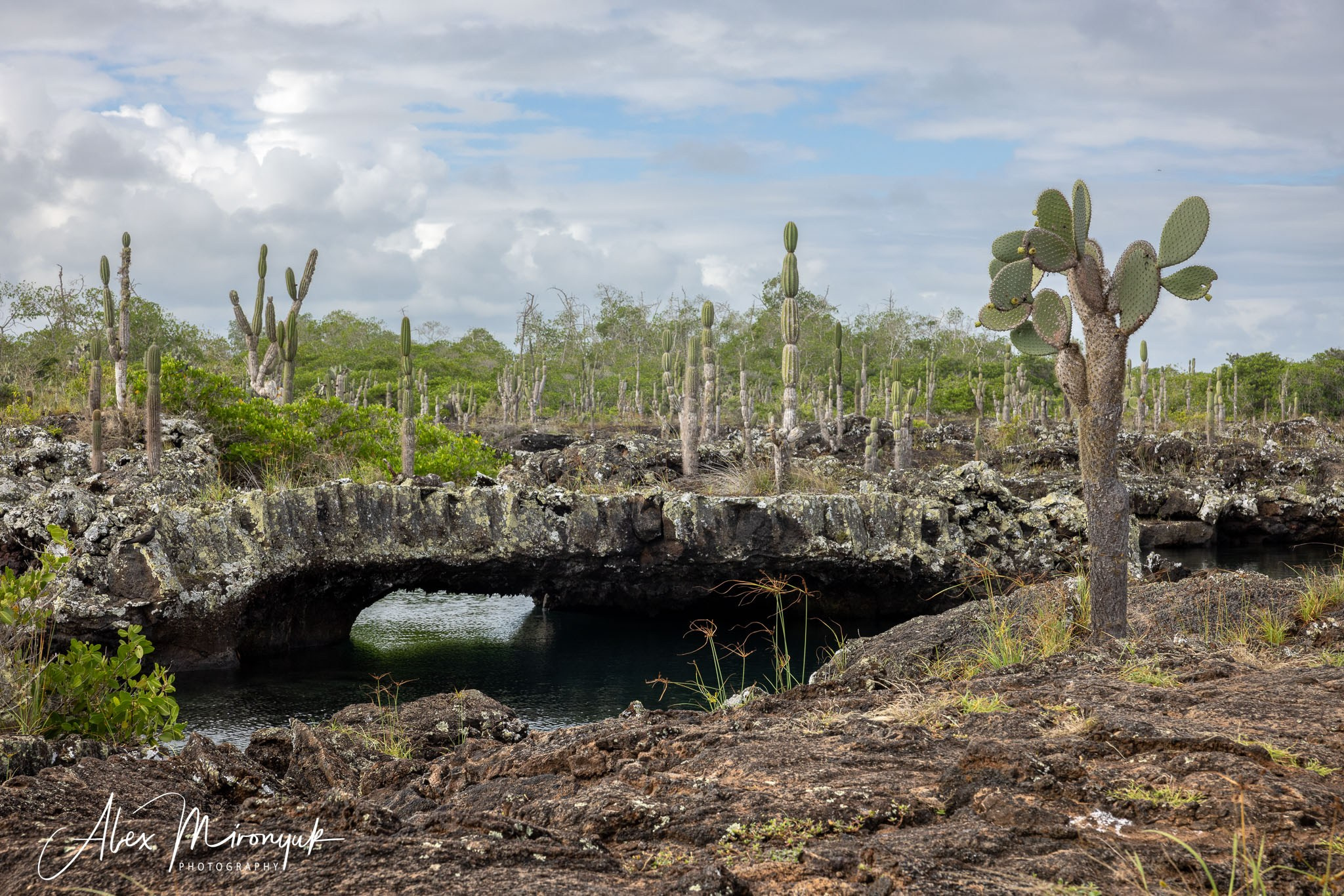 Galapagos Islands Adventure. Alex Mironyuk Photography