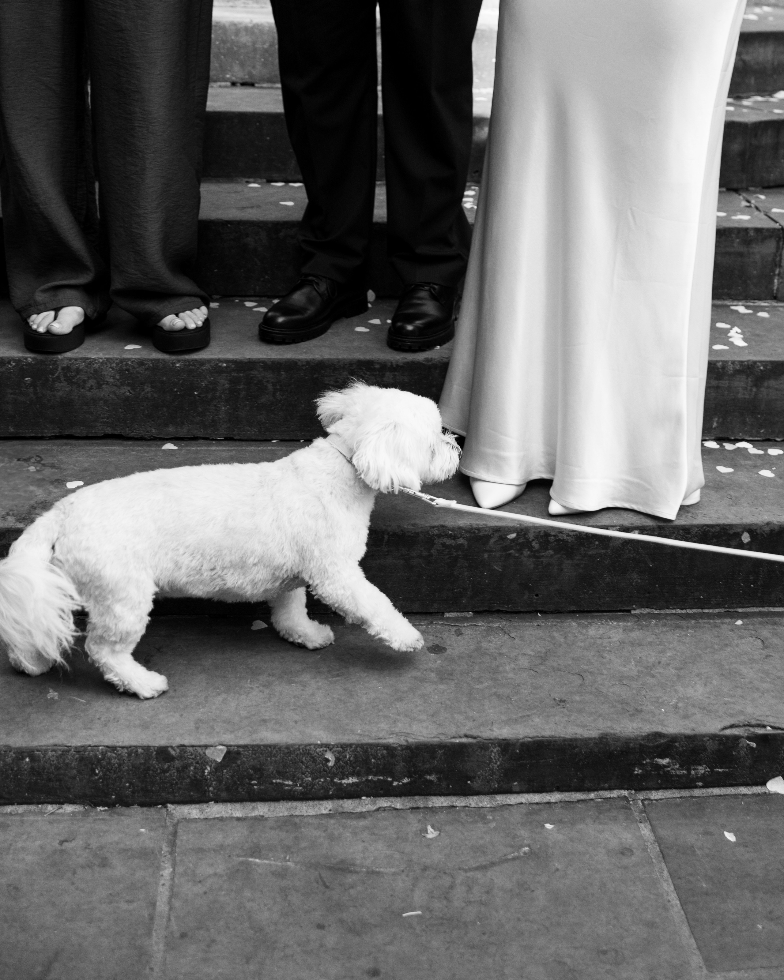 Chelsea Old Town Hall — Marta & Alexander. Timeless Wedding & Event Photography from London to the world