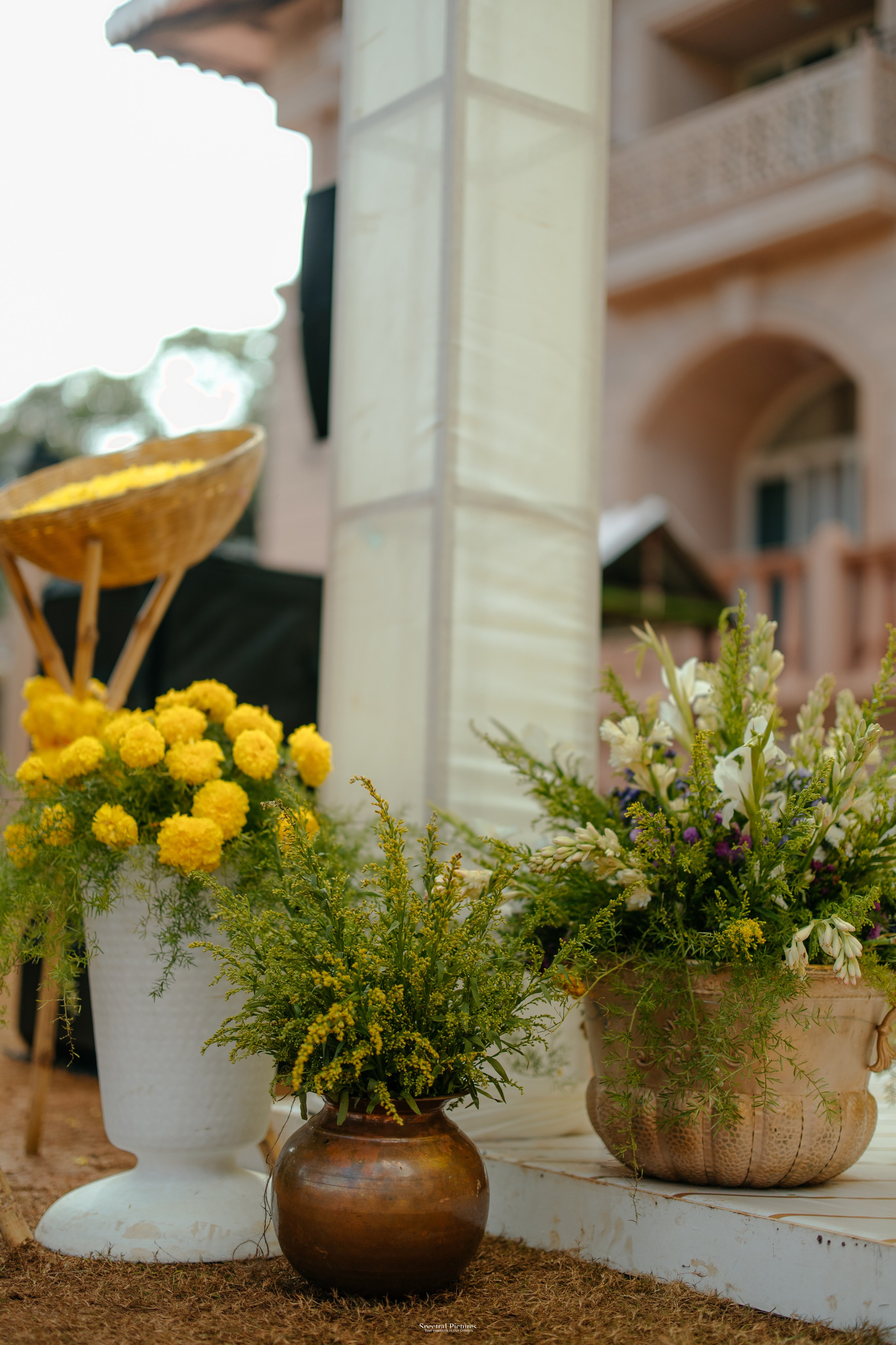 #THEPURALOVESTORY is a journey of two hearts growing in sync, across seasons, challenges, and memories