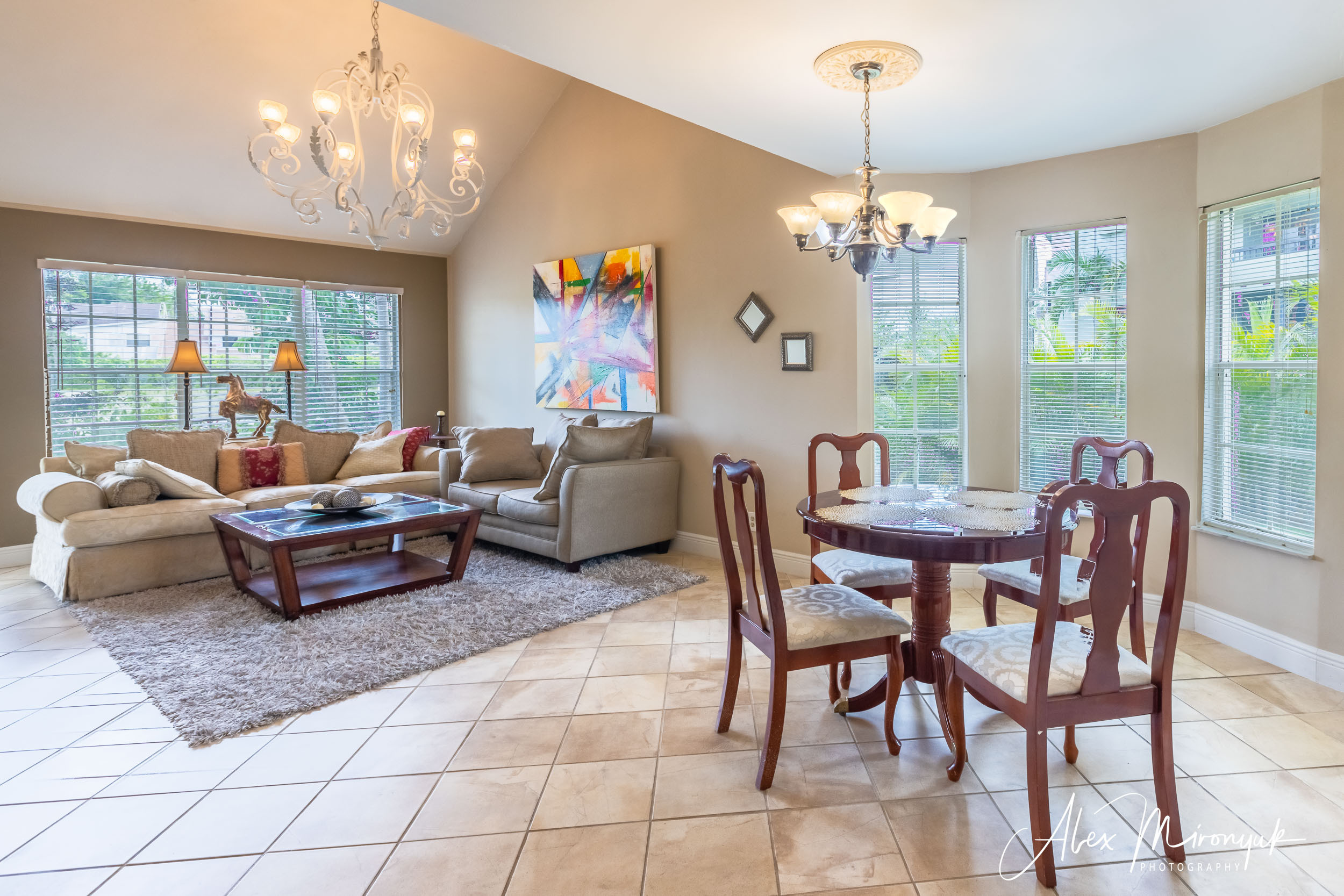 Real Estate Drone Photography. Alex Mironyuk Photography