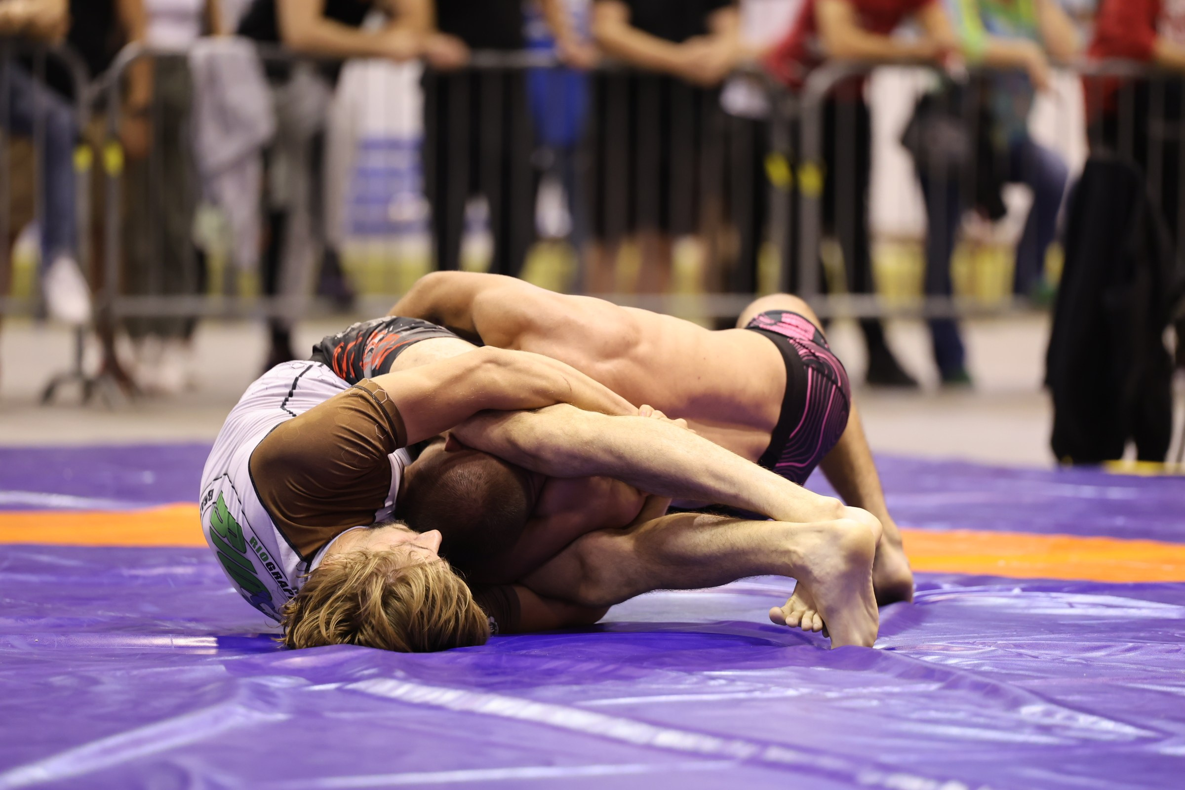 NO GI Challenge Novi Sad