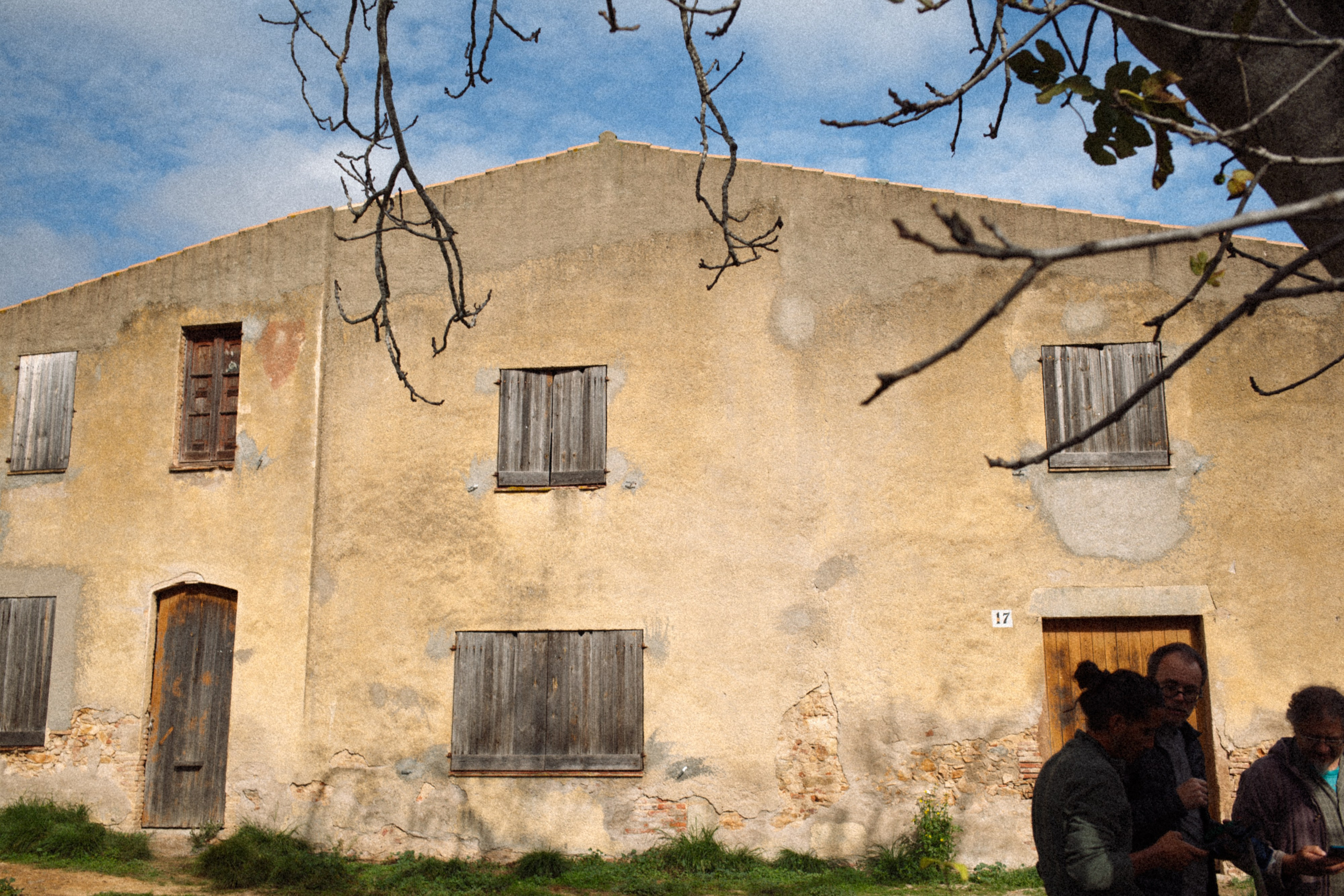 Overview of Can Durán farm practicing syntropic agriculture