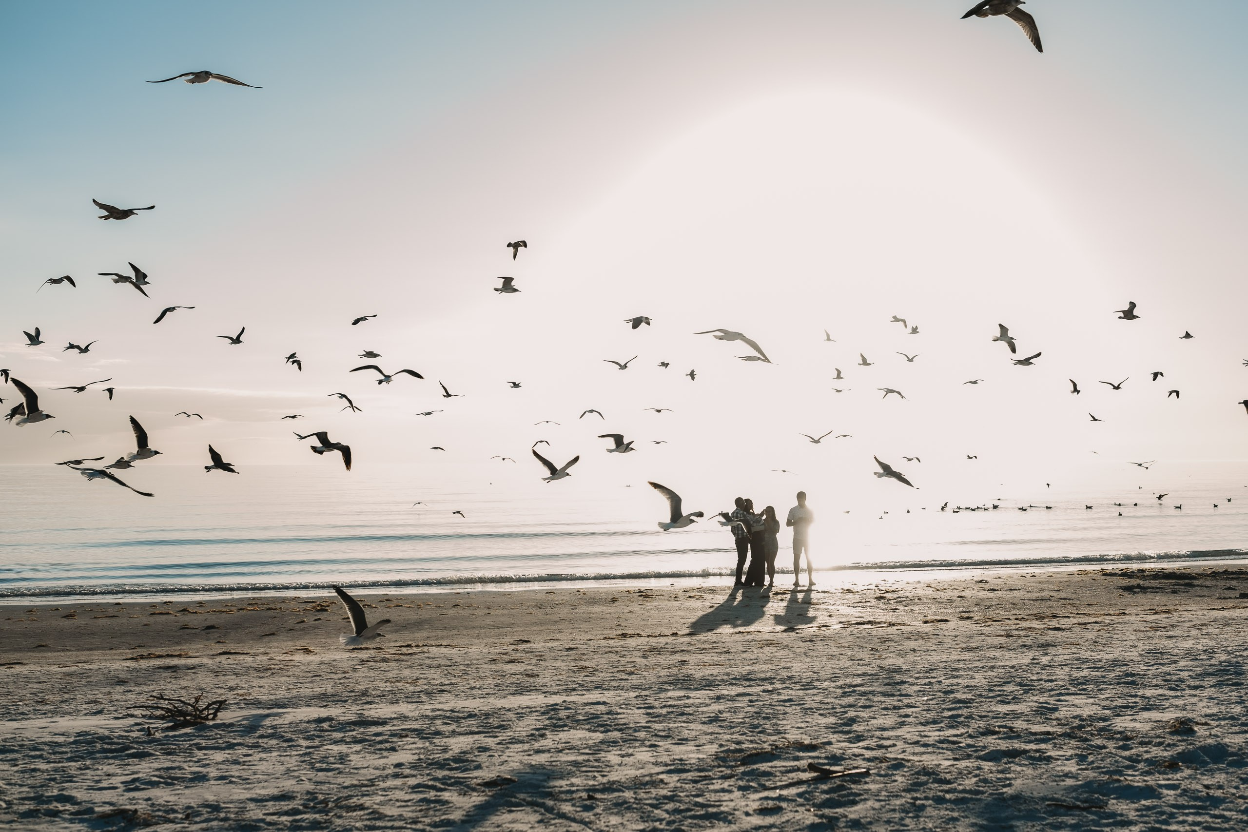 Sarasota, Siesta Key, family photographer