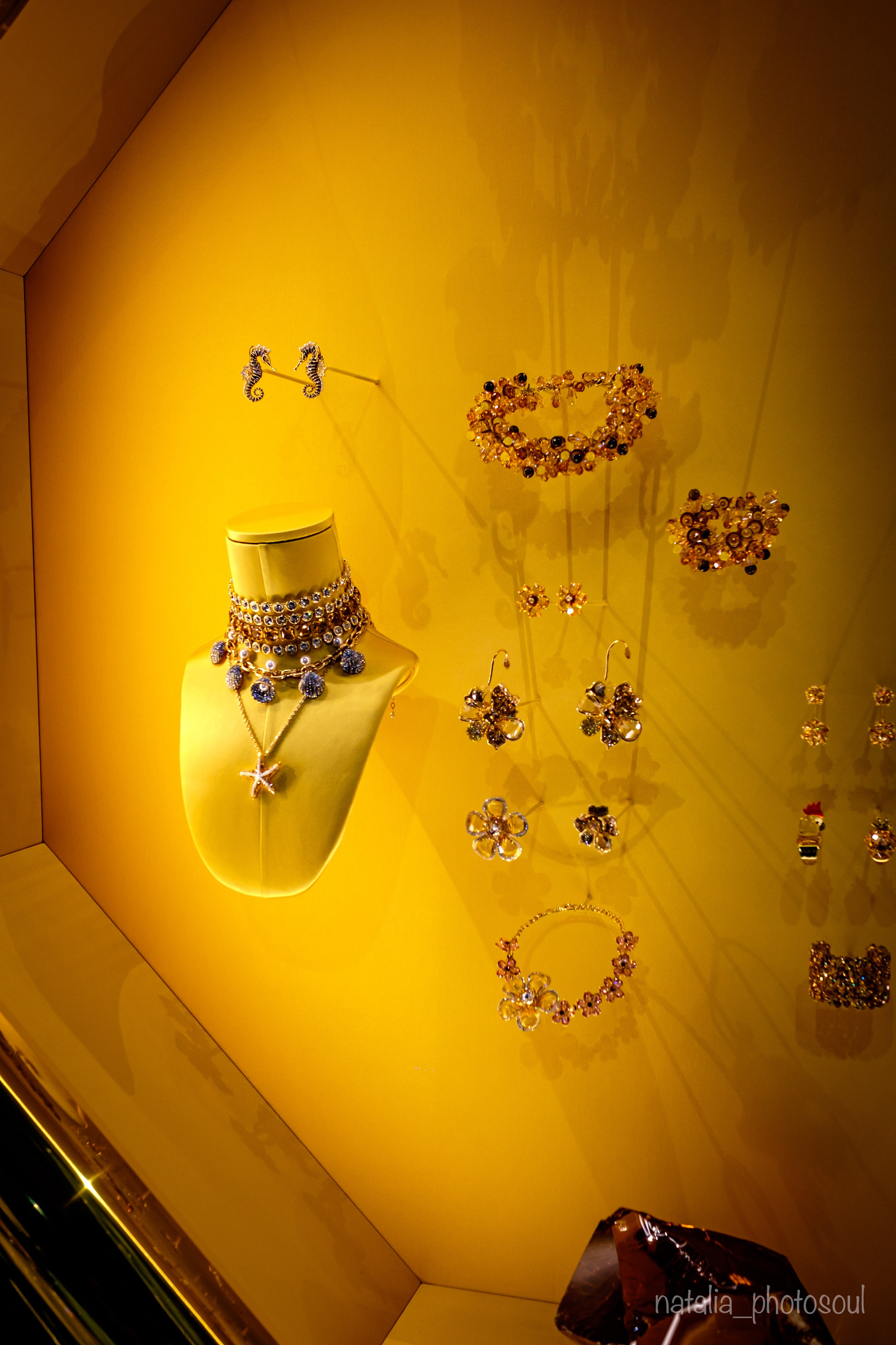 SWAROVSKI MASTERS OF LIGHT FROM VIENNA TO SEOUL. Photographer in Seoul Dobrokvashina Natalya