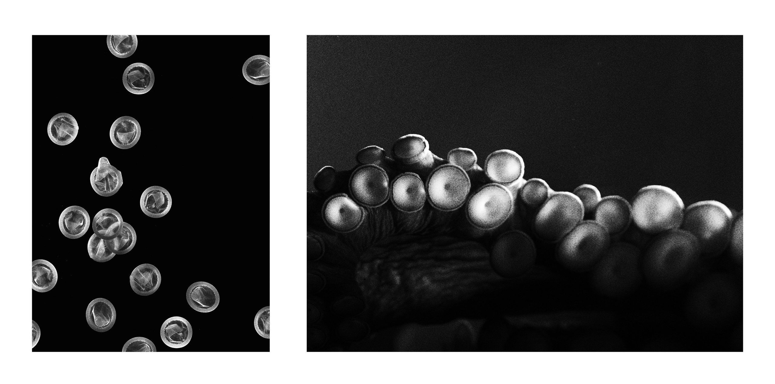 COME INSIDE. Irène Shkoda