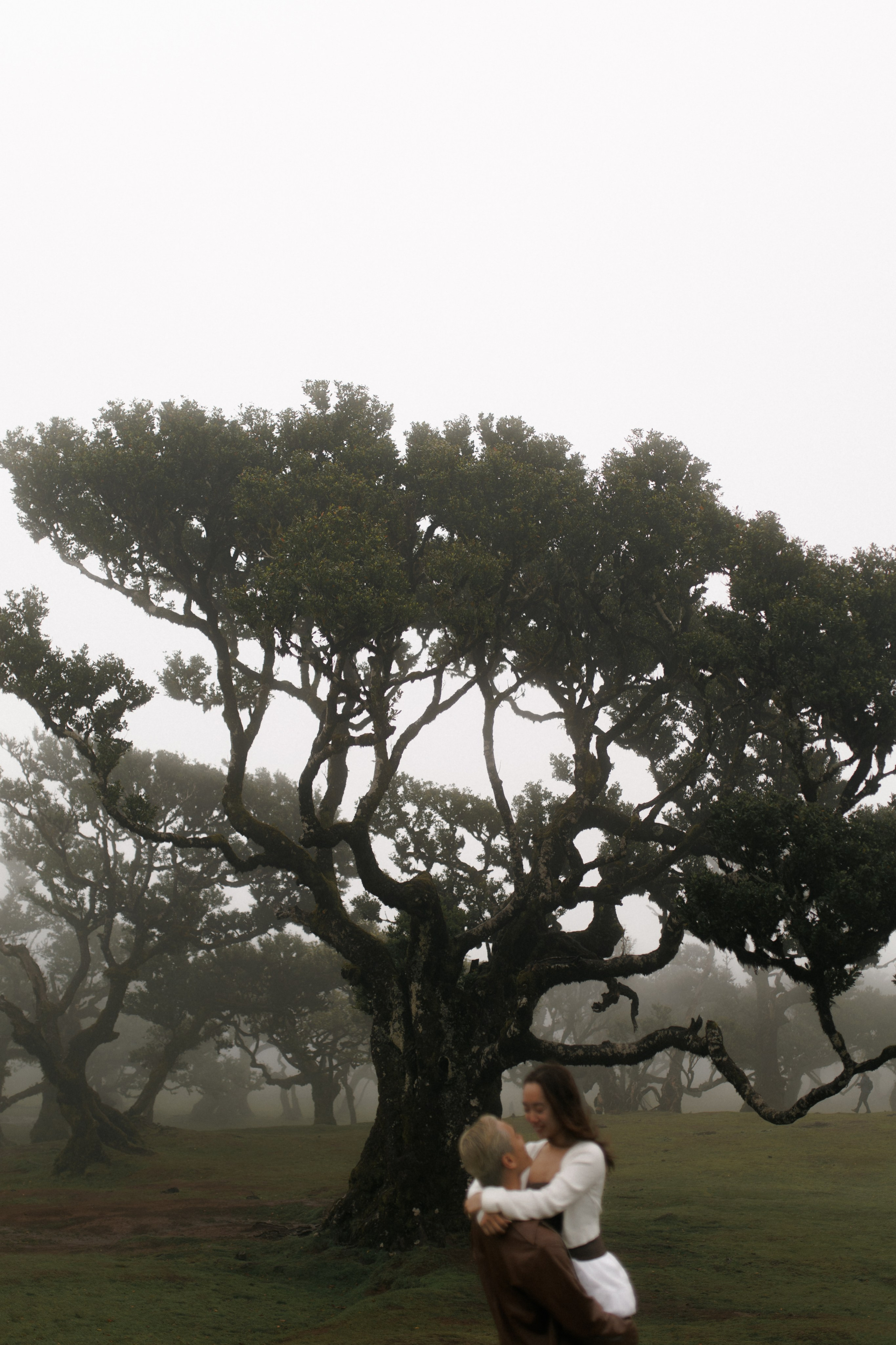 Dream Proposal at Seixal Beach — Romantic Getaway in Madeira. Wedding photographer and videographer based in Timisoara, Romania
