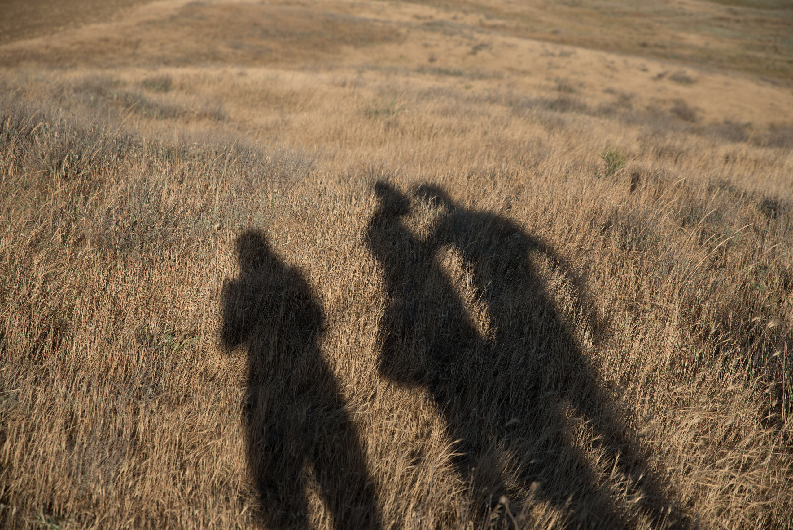 Silence. Ekaterina Verbitskaya. Photography